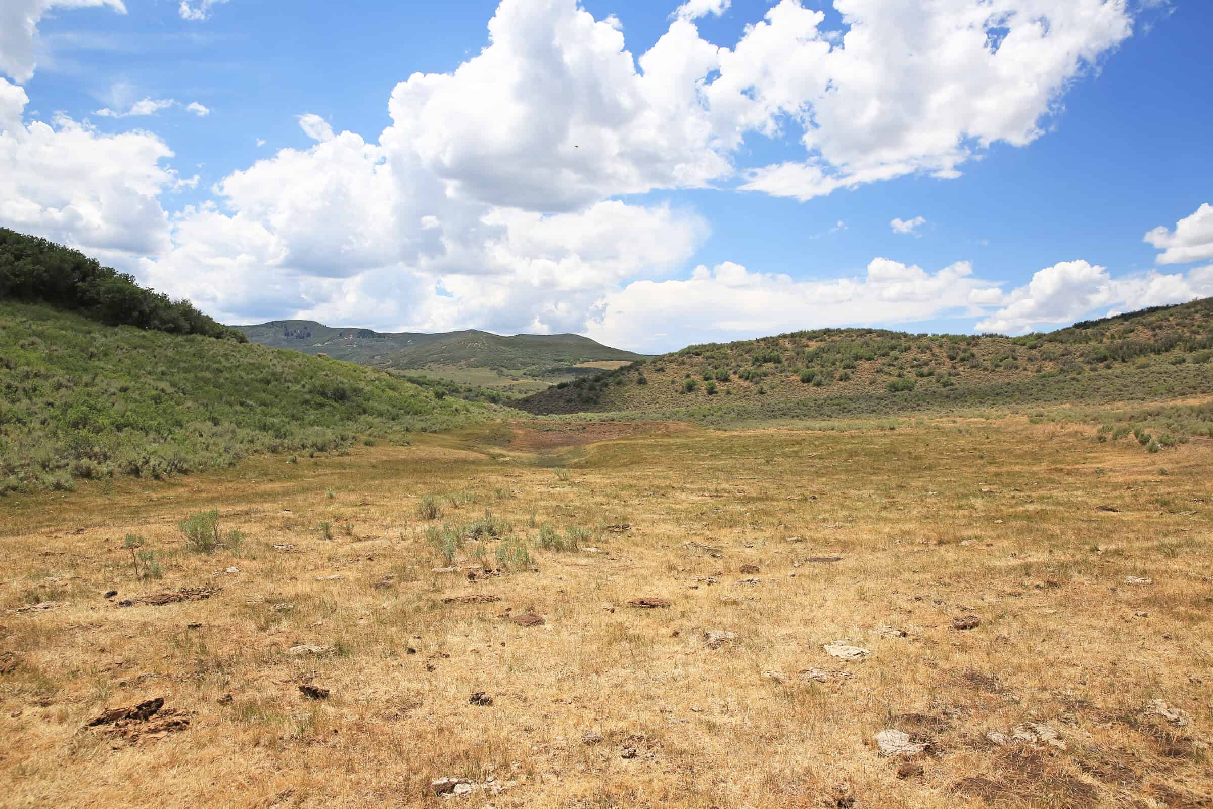 35 Acres Borders Public Land near Collbran, CO