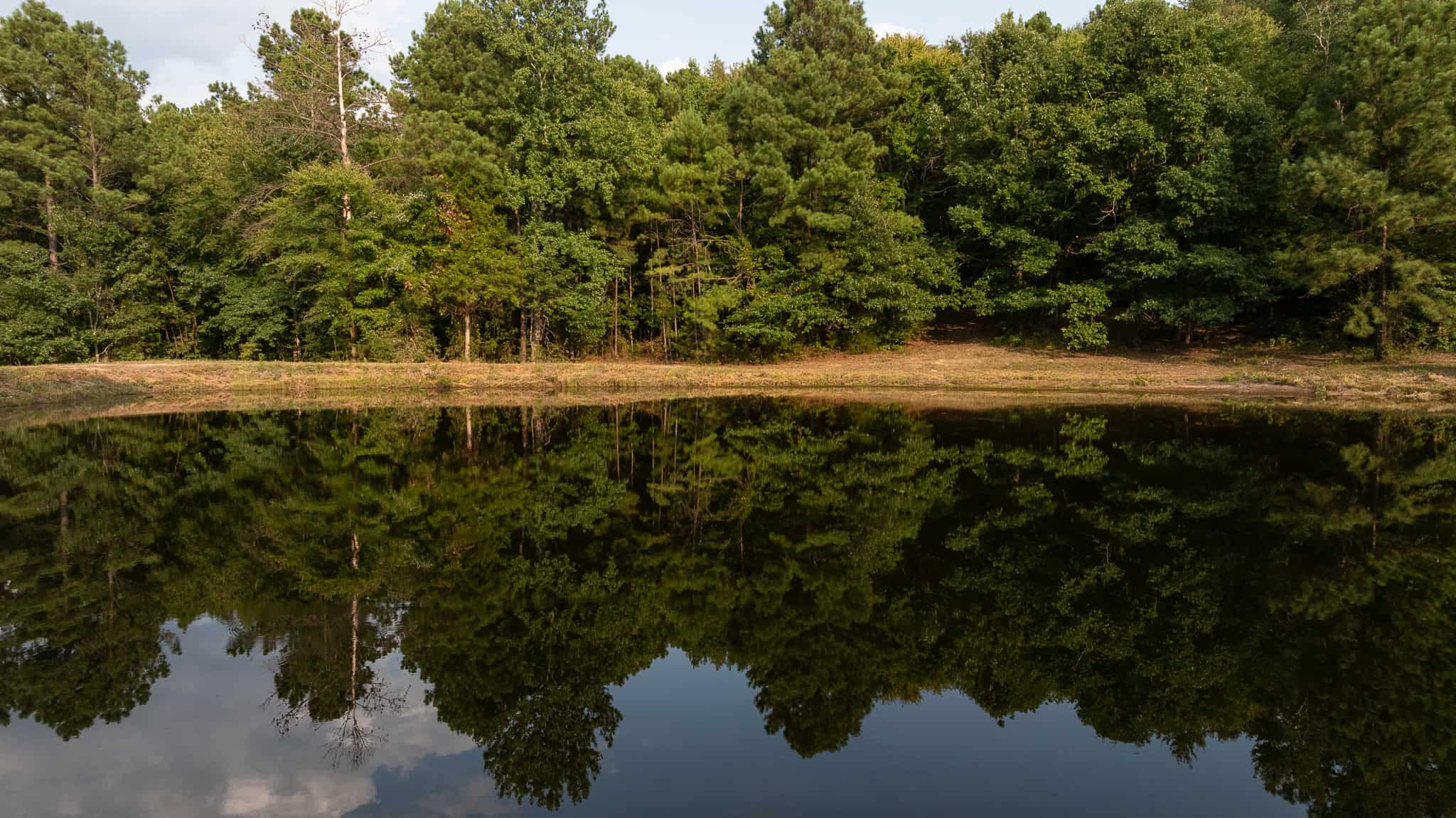 East Texas Hunting & Timber Land for Sale in Smith County