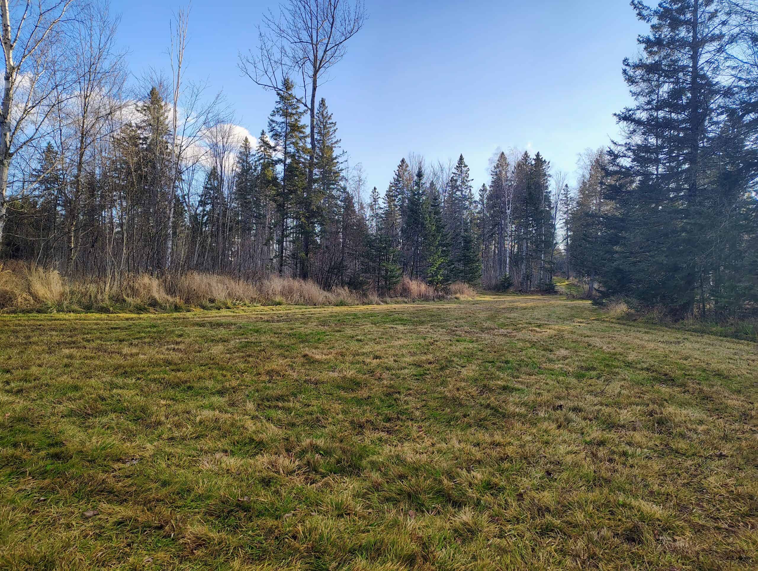 80± Acre Hunting Retreat for Sale in Butternut, WI