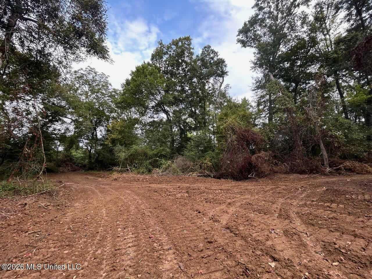 82± Acre Hunting Property in Wilkinson County, MS
