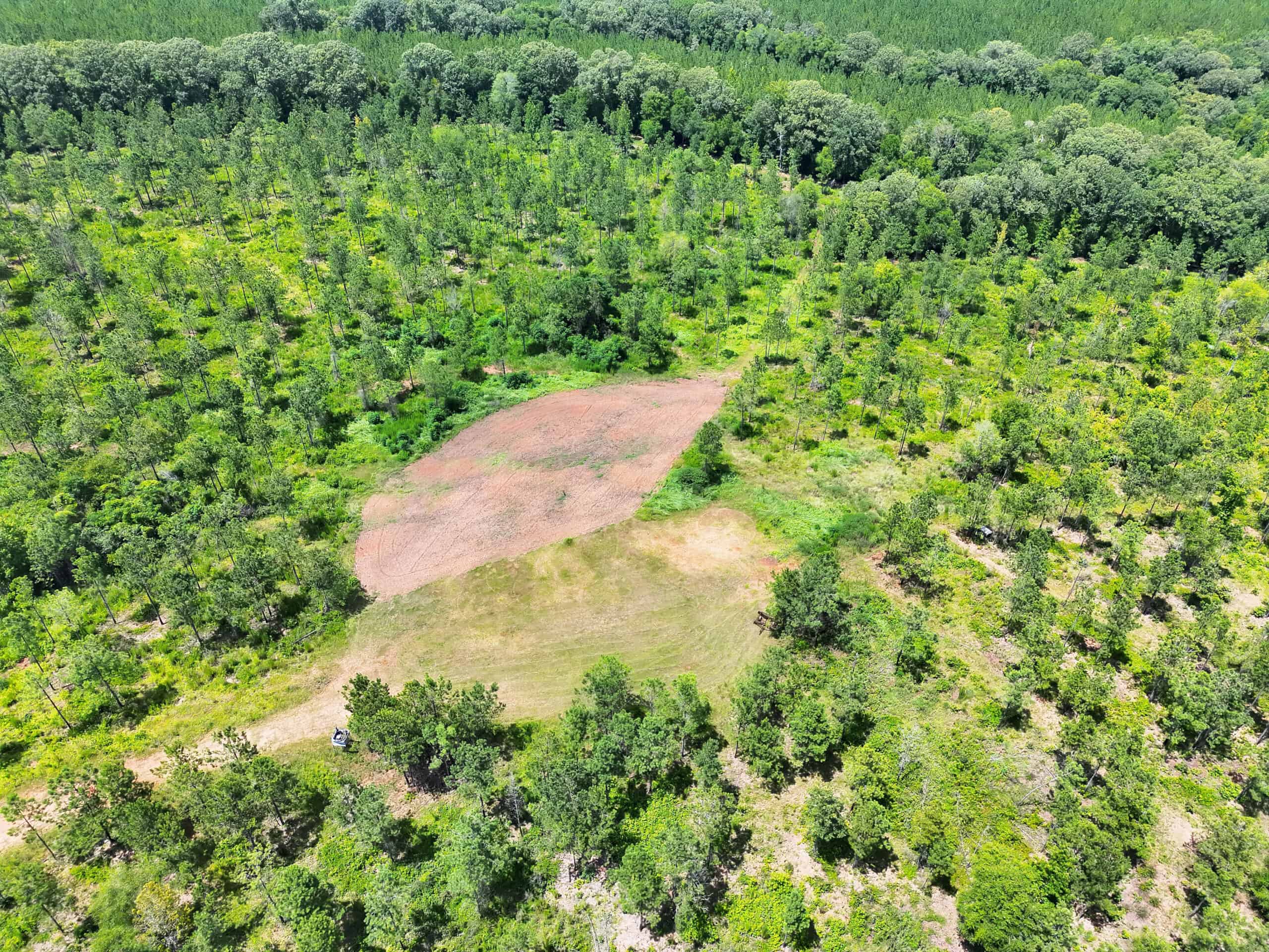 Discover an outstanding 130-acre recreational and hunting property in Stewart Cty
