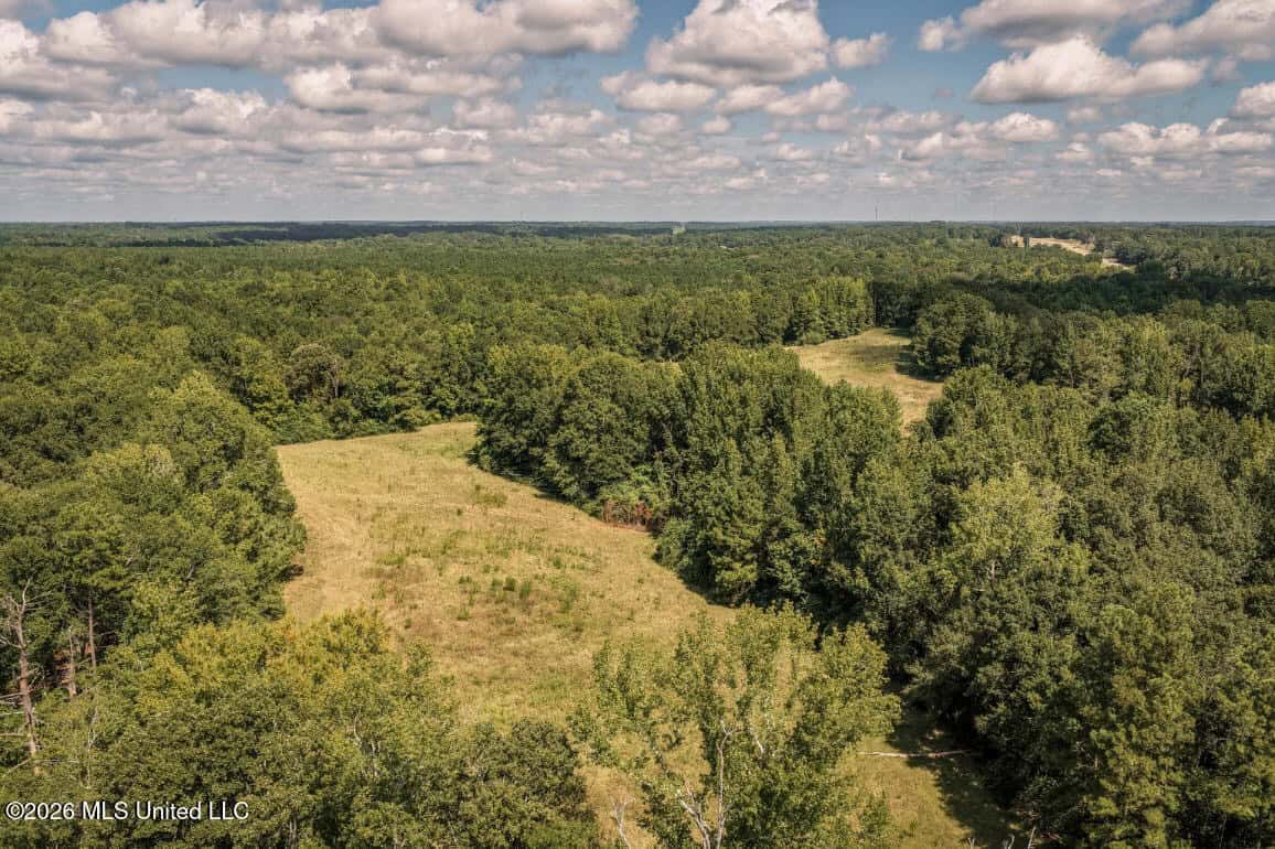 HWY 49 Land for Sale Simpson County, MS