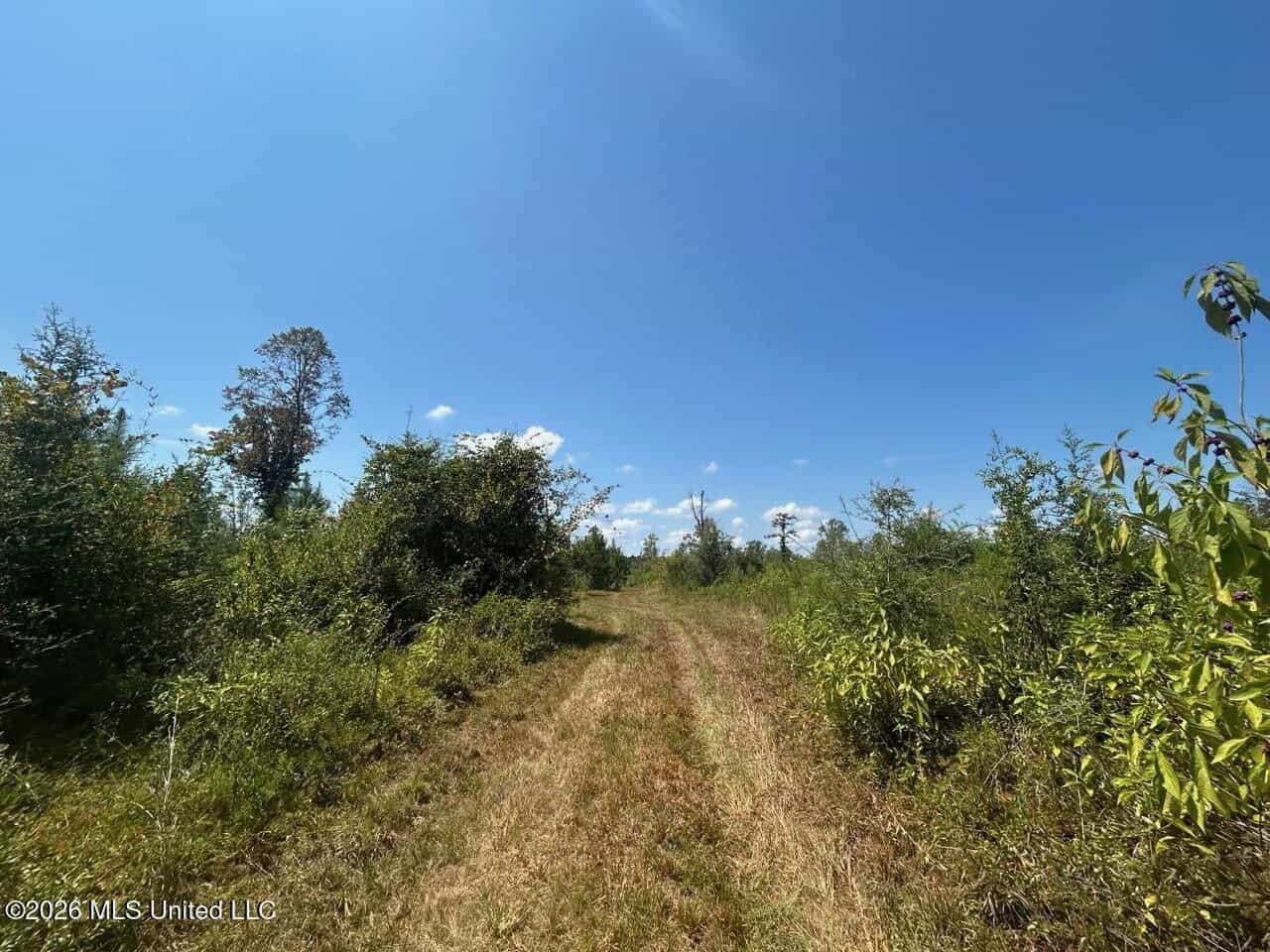 147± Acre Hunting Property in Plainview, LA