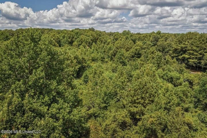 31 Acres for Sale Near Collins MS | Mature Timber & Hunting
