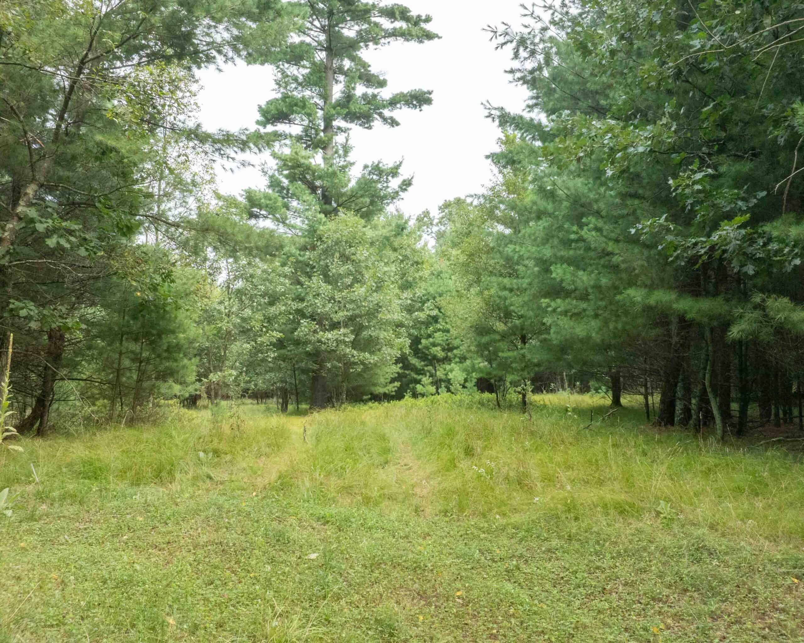 Rare opportunity to own 17.54 wooded acres within the City of Adams