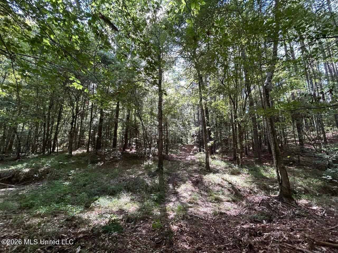 FRANKLIN COUNTY LAND FOR SALE NEAR McCALL CREEK