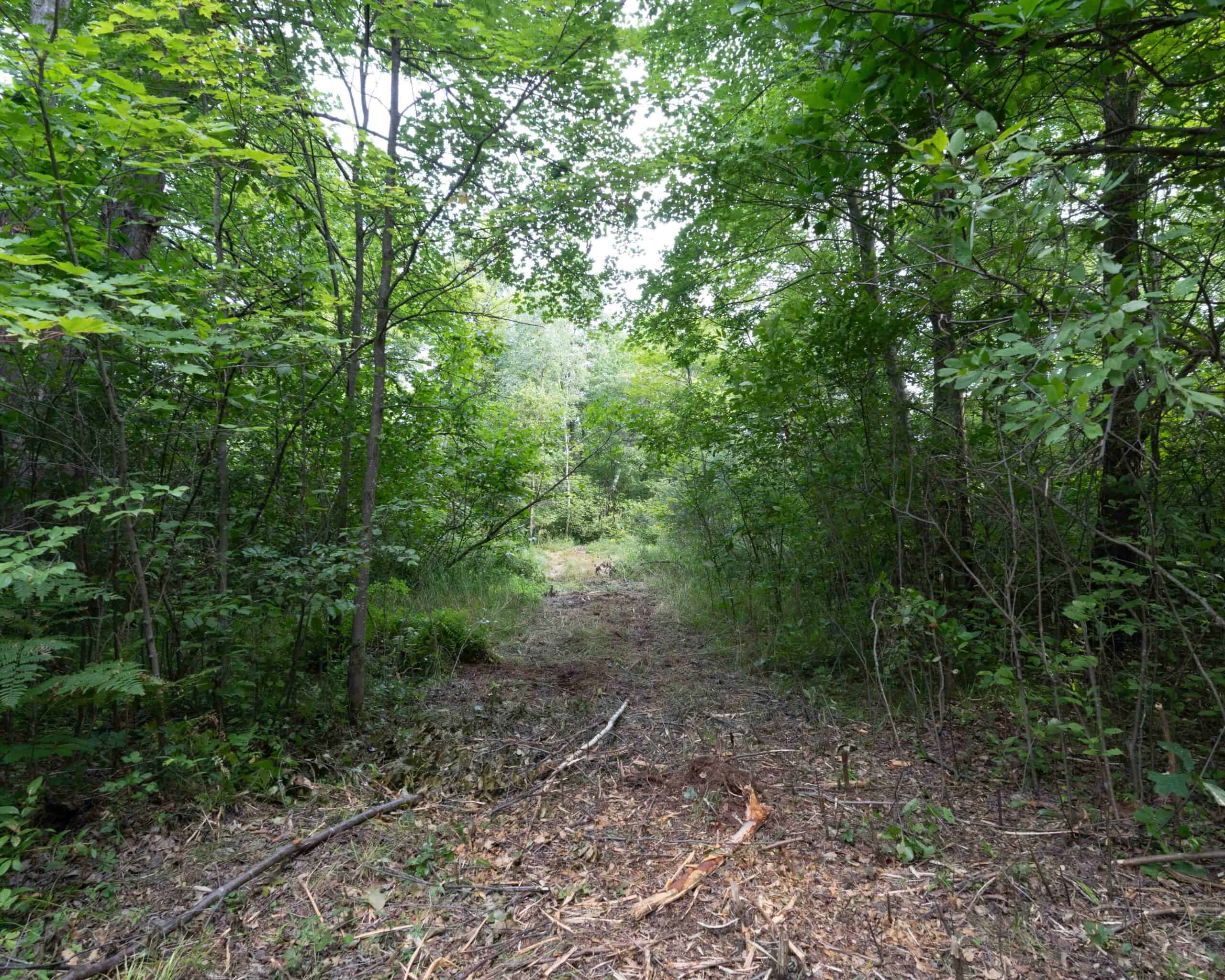 Juneau County WI 80 Acre Camp For Sale