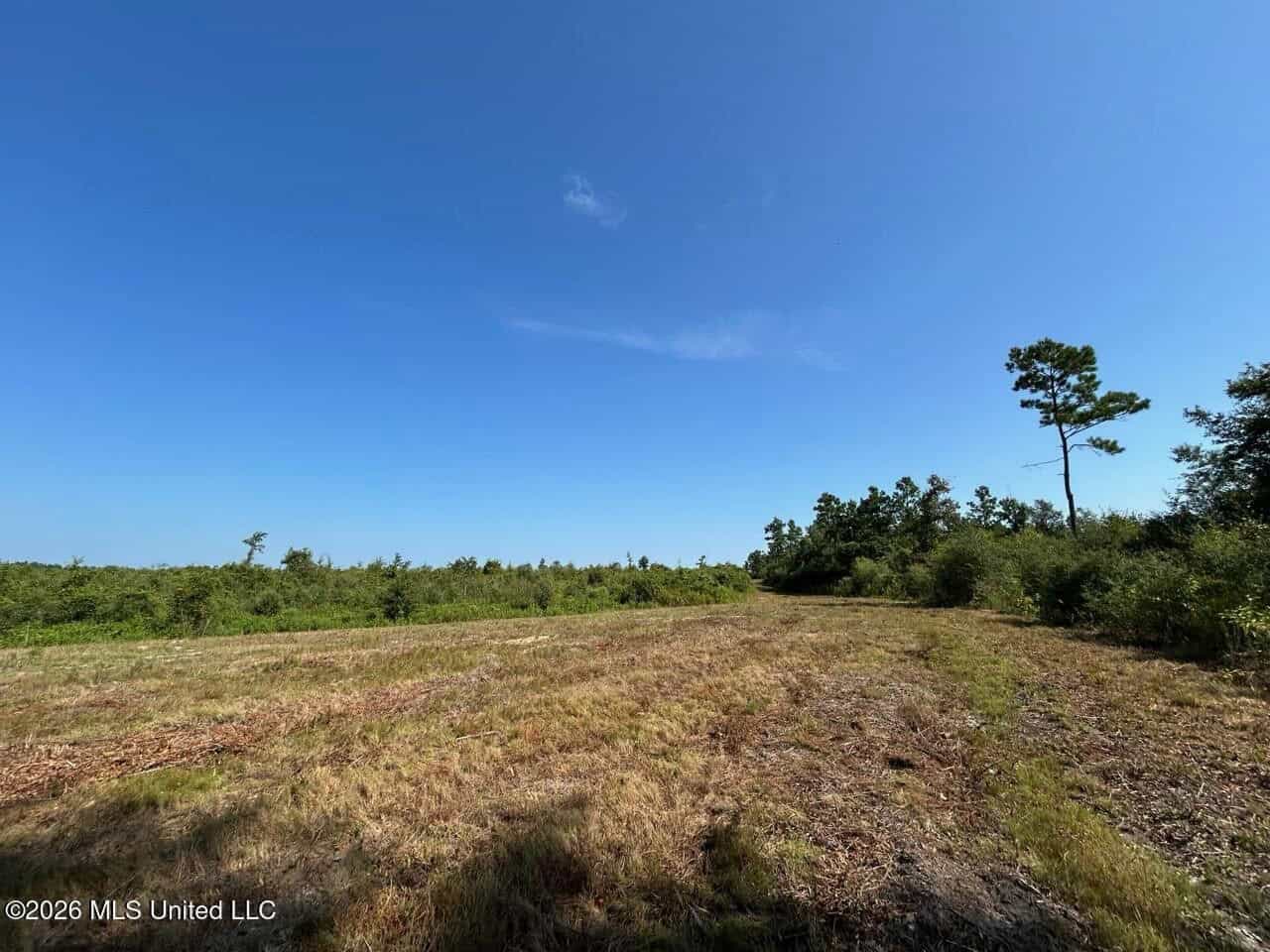 50± Acre Homesite & Hunting Land in Plainview, LA