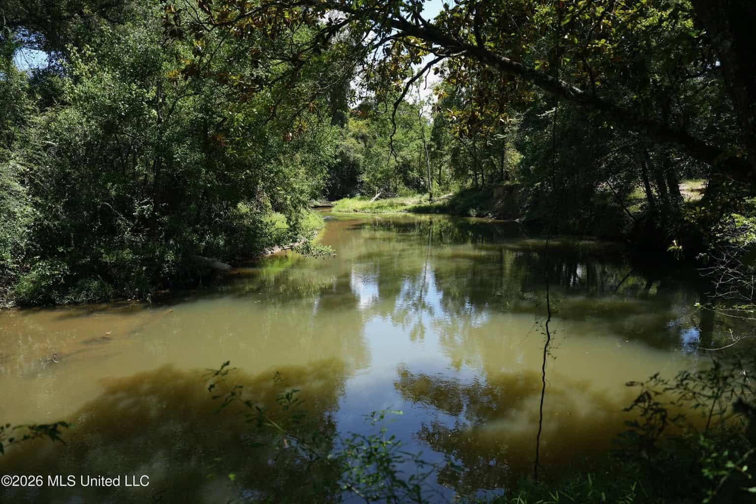 150 Acres for Sale in Magnolia MS on Tangipahoa River