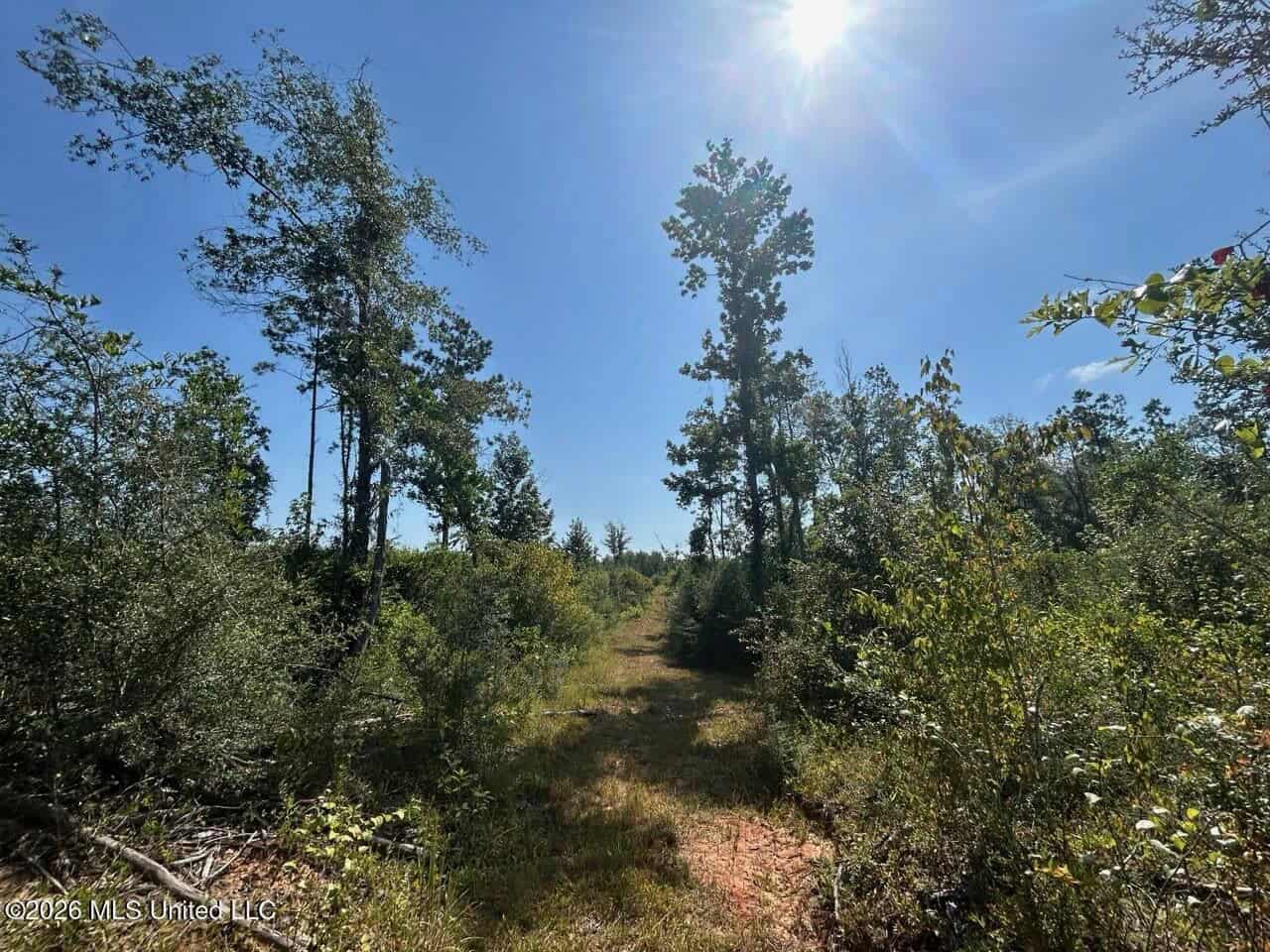 42± Acre Homesite & Hunting Land in Plainview, LA
