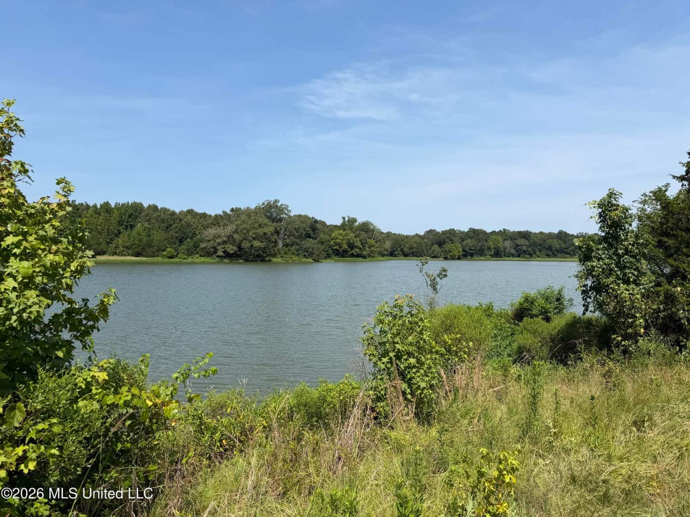 81-Acre Timber Property on 20-Acre Lake in Vaughan, MS