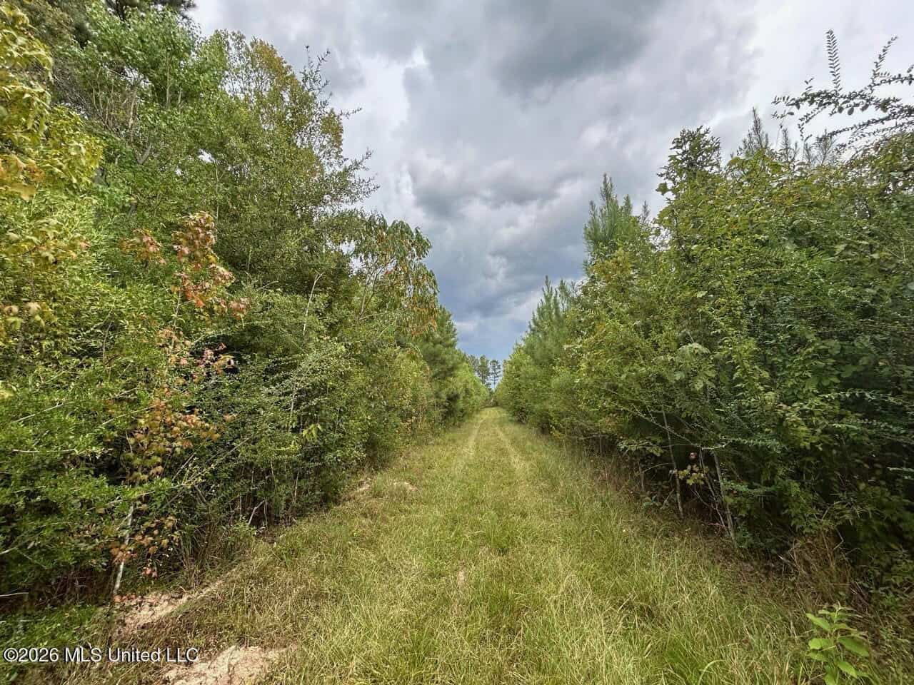 85± Acre Turnkey Hunting Property in Amite County, MS