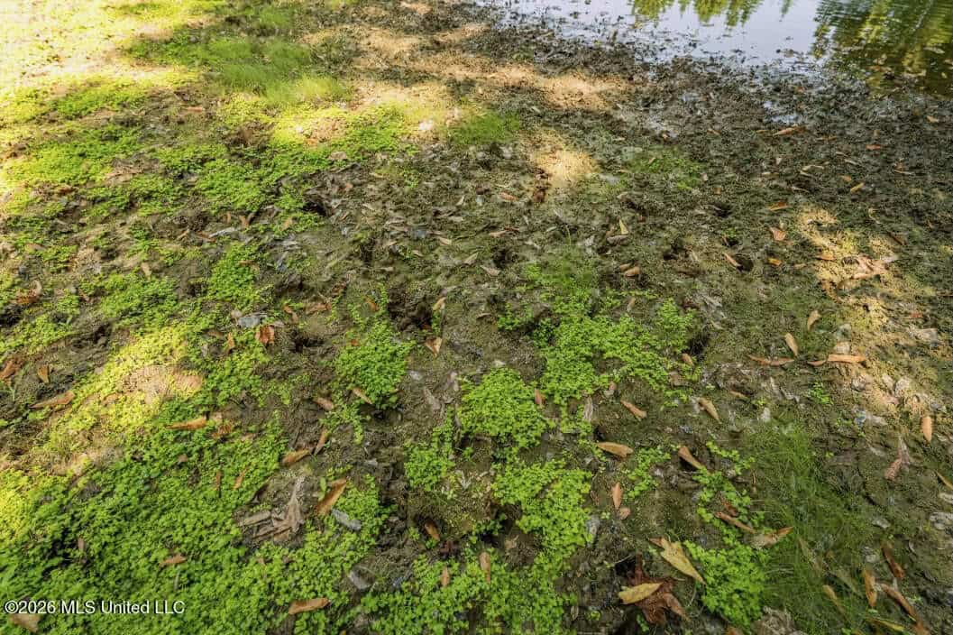52.25± Acres in Copiah County, MS Near Hazlehurst