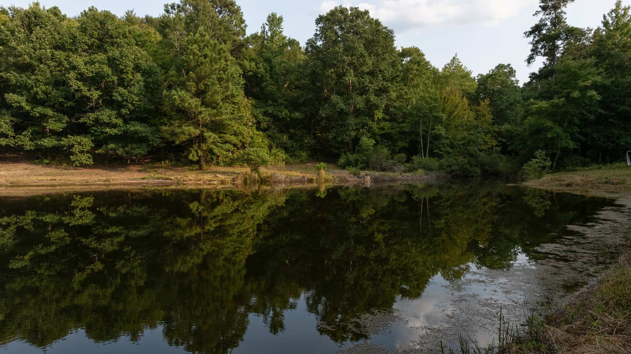 East Texas Hunting & Timber Land for Sale in Smith County