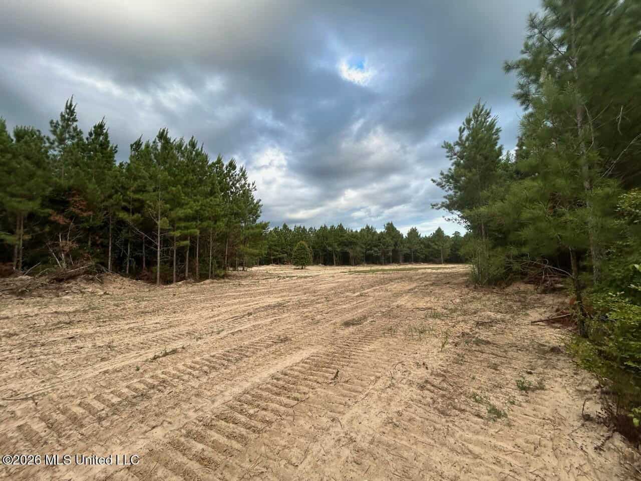 82± Acre Hunting Tract in Meadville, MS