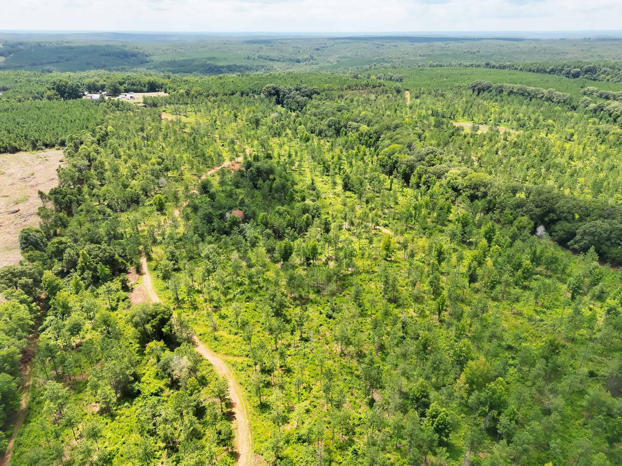 Discover an outstanding 130-acre recreational and hunting property in Stewart Cty