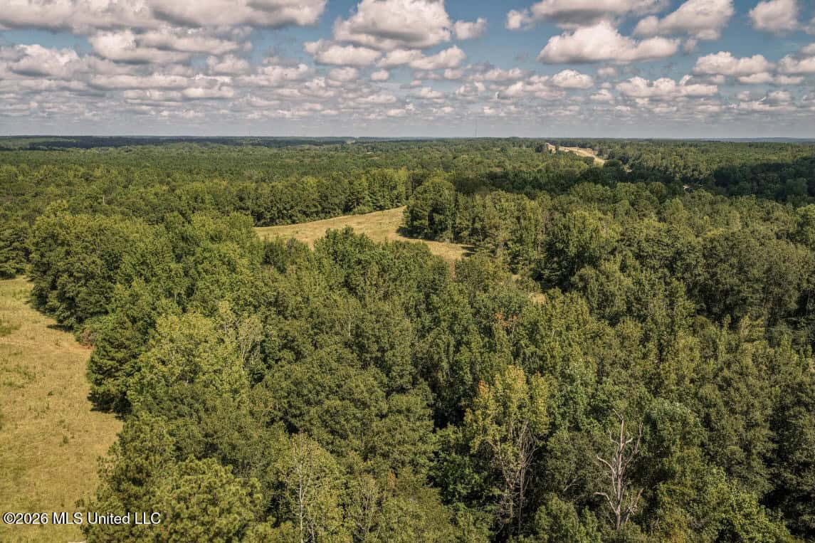 HWY 49 Land for Sale Simpson County, MS