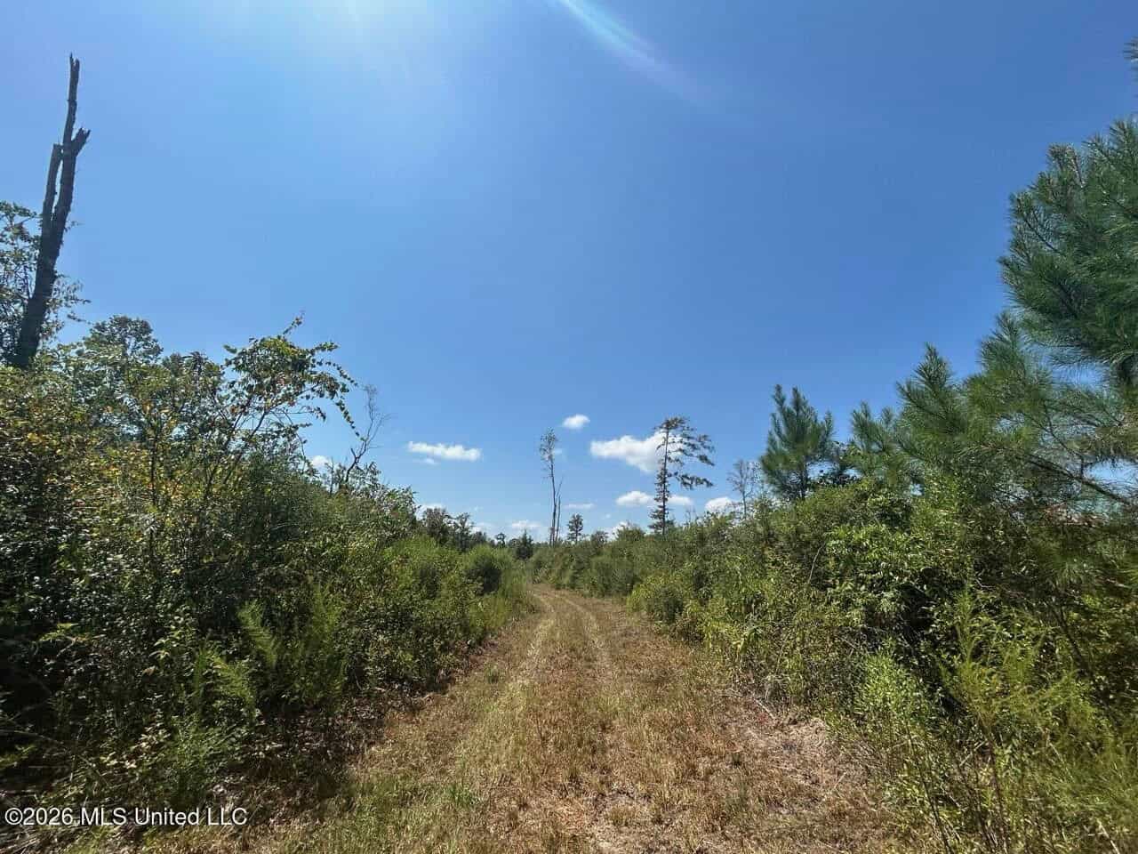 147± Acre Hunting Property in Plainview, LA