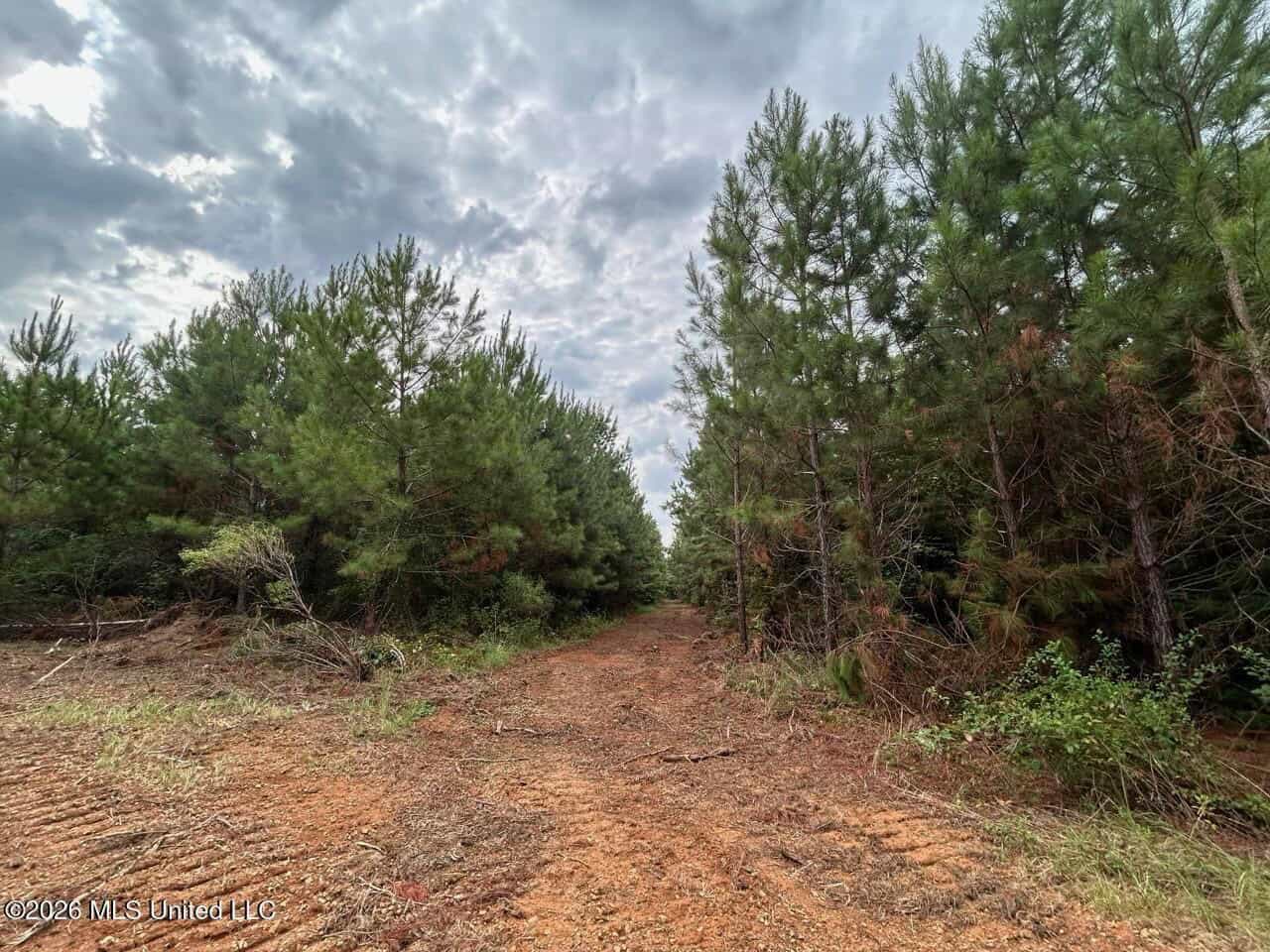 53± Acre Hunting Property Near Centreville, MS