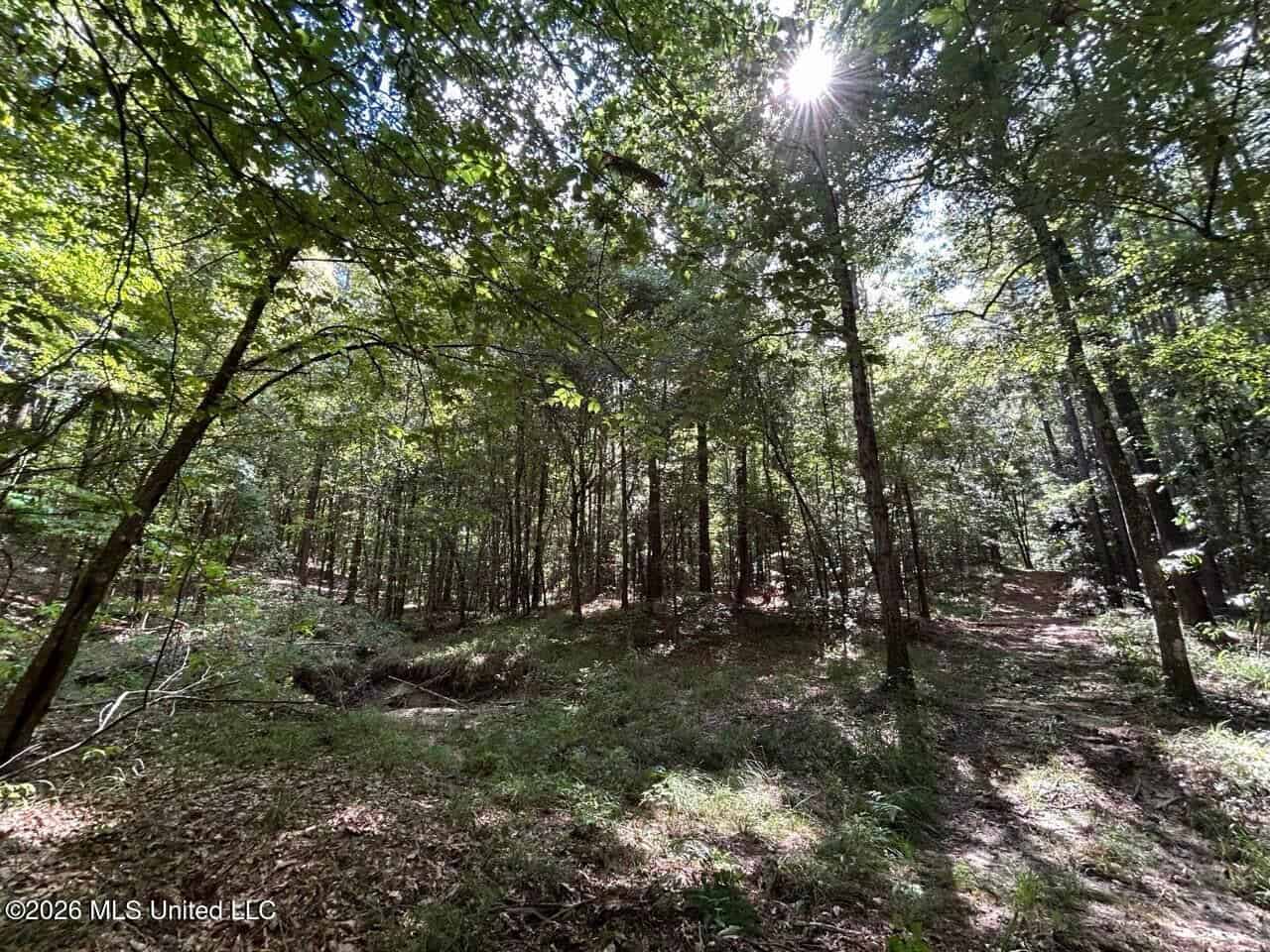 FRANKLIN COUNTY LAND FOR SALE NEAR McCALL CREEK