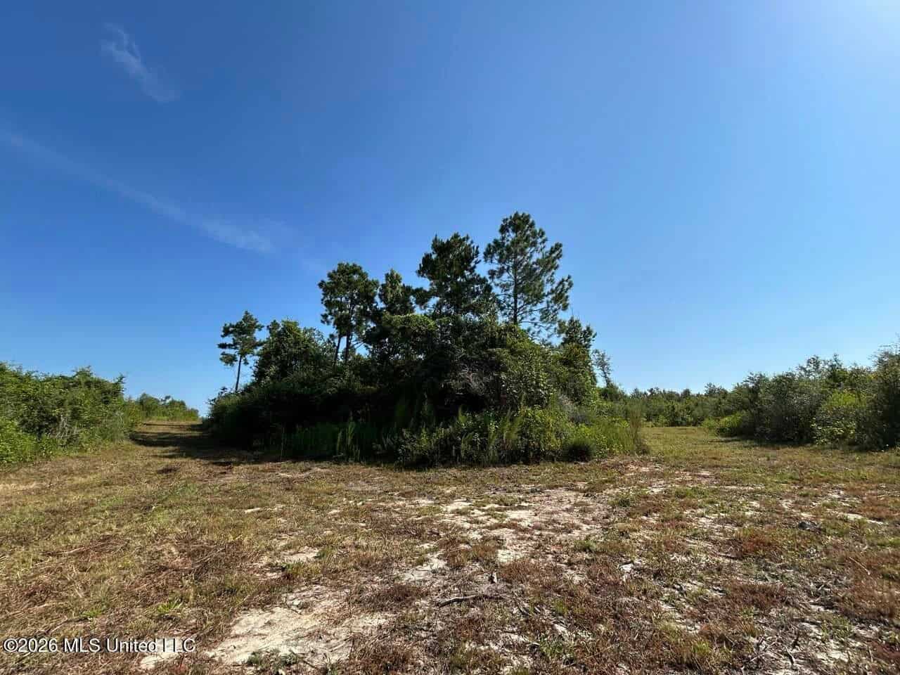 50± Acre Homesite & Hunting Land in Plainview, LA