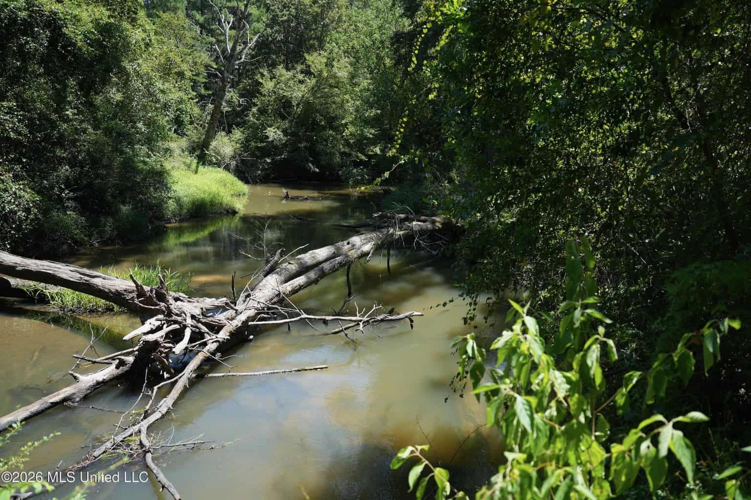 150 Acres for Sale in Magnolia MS on Tangipahoa River