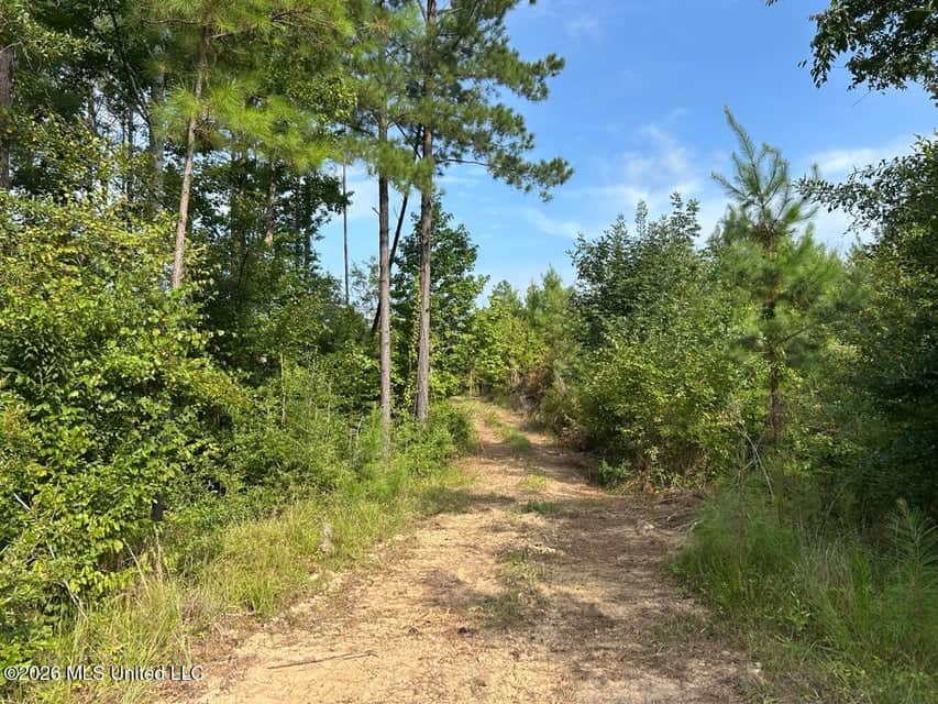 90± Acre Hunting Tract for Sale in Meadville, MS