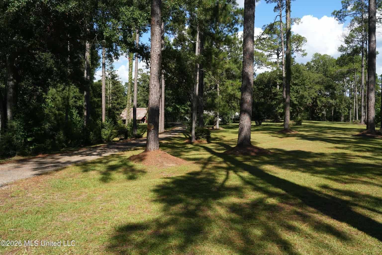 20 Acres for Sale Magnolia MS with Barn & Mature Timber