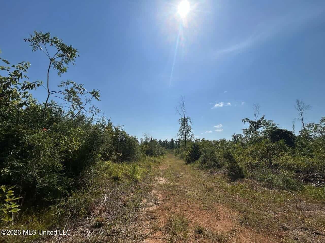 42± Acre Homesite & Hunting Land in Plainview, LA
