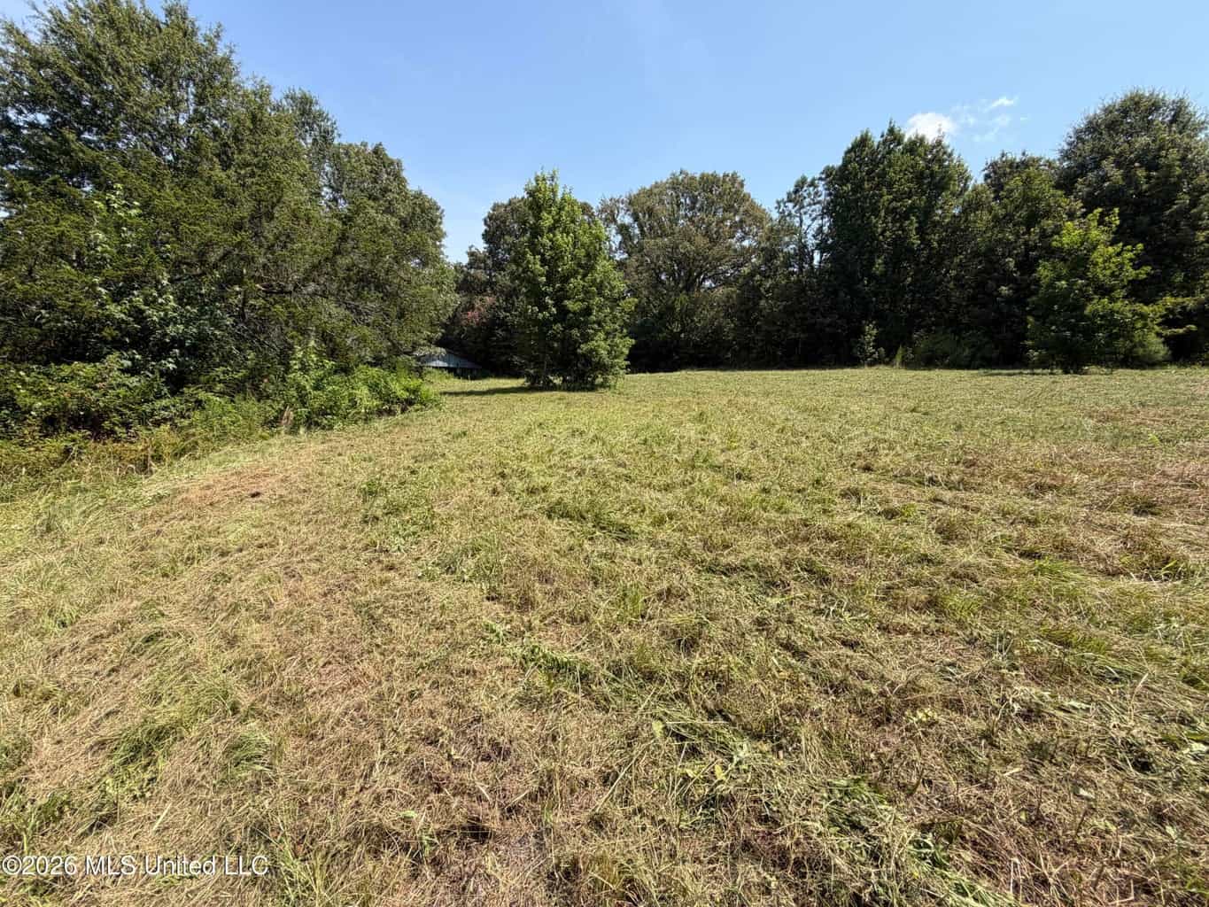81-Acre Timber Property on 20-Acre Lake in Vaughan, MS