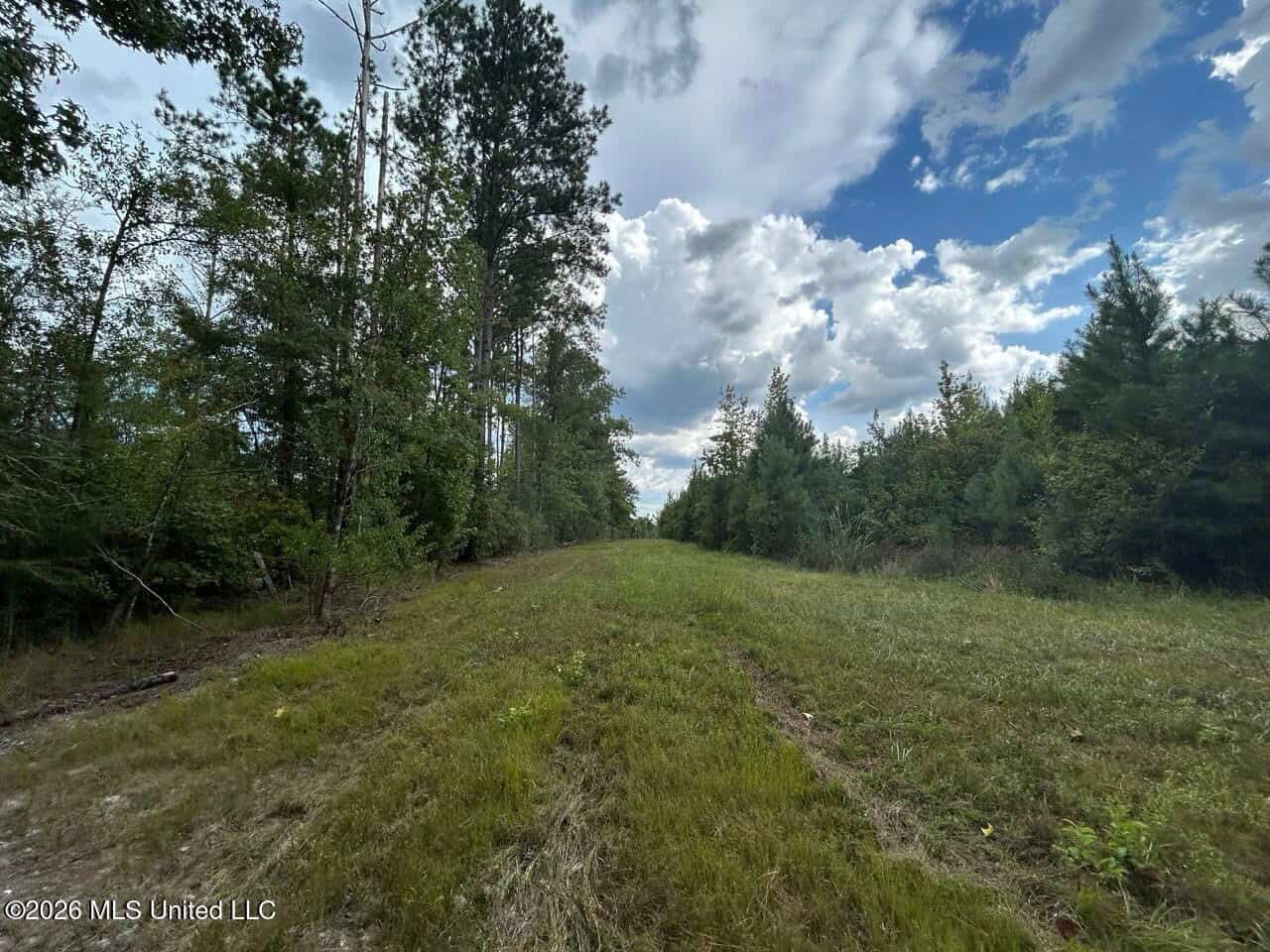85± Acre Turnkey Hunting Property in Amite County, MS