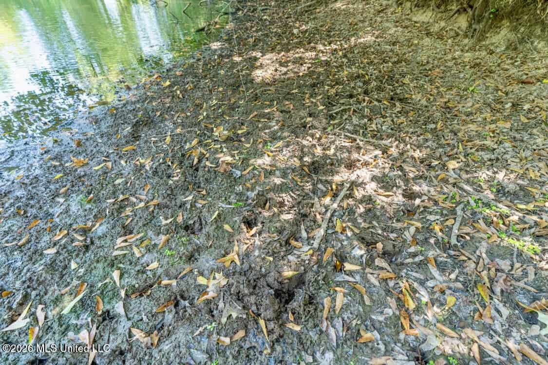 52.25± Acres in Copiah County, MS Near Hazlehurst