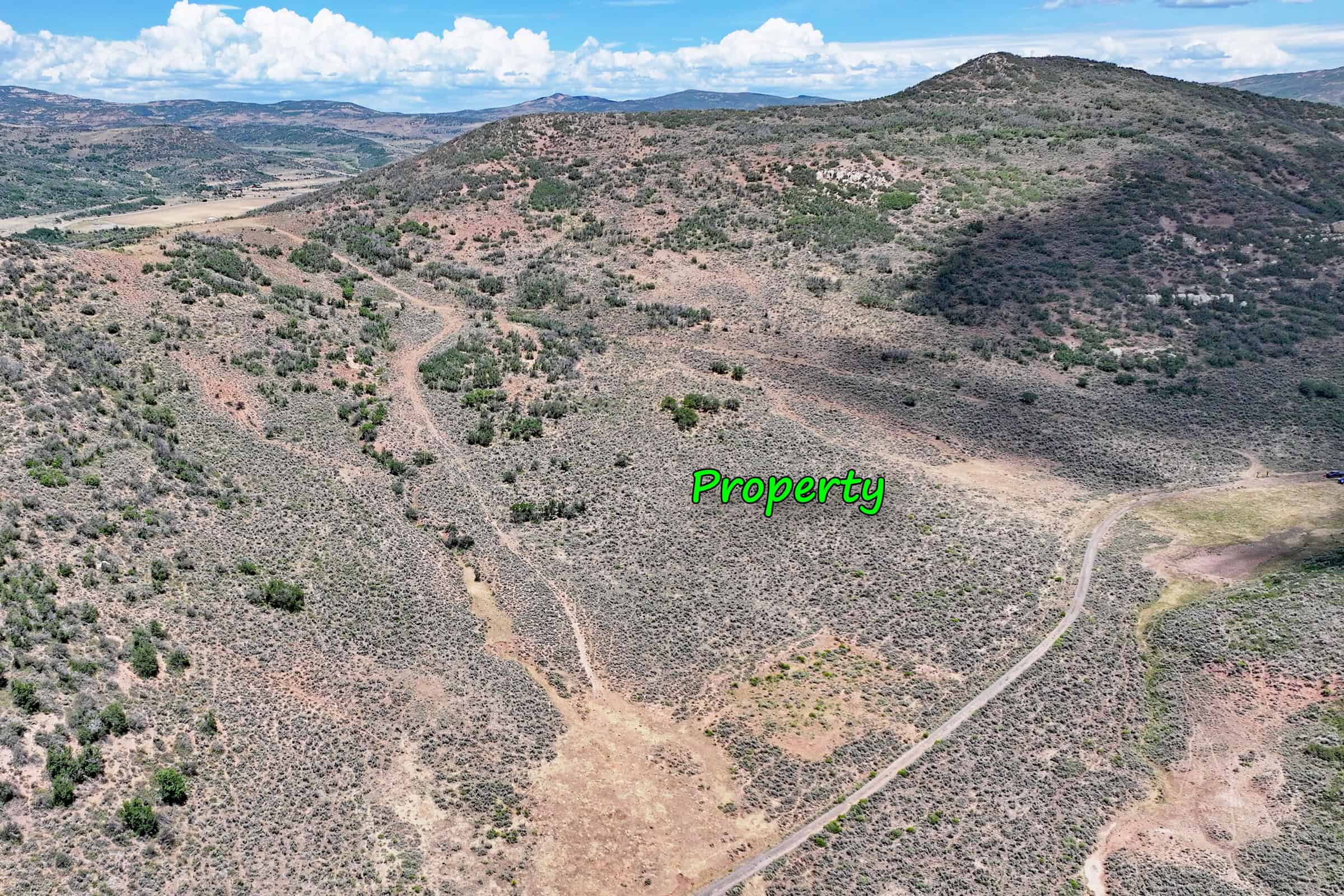 35 Acres Borders Public Land near Collbran, CO