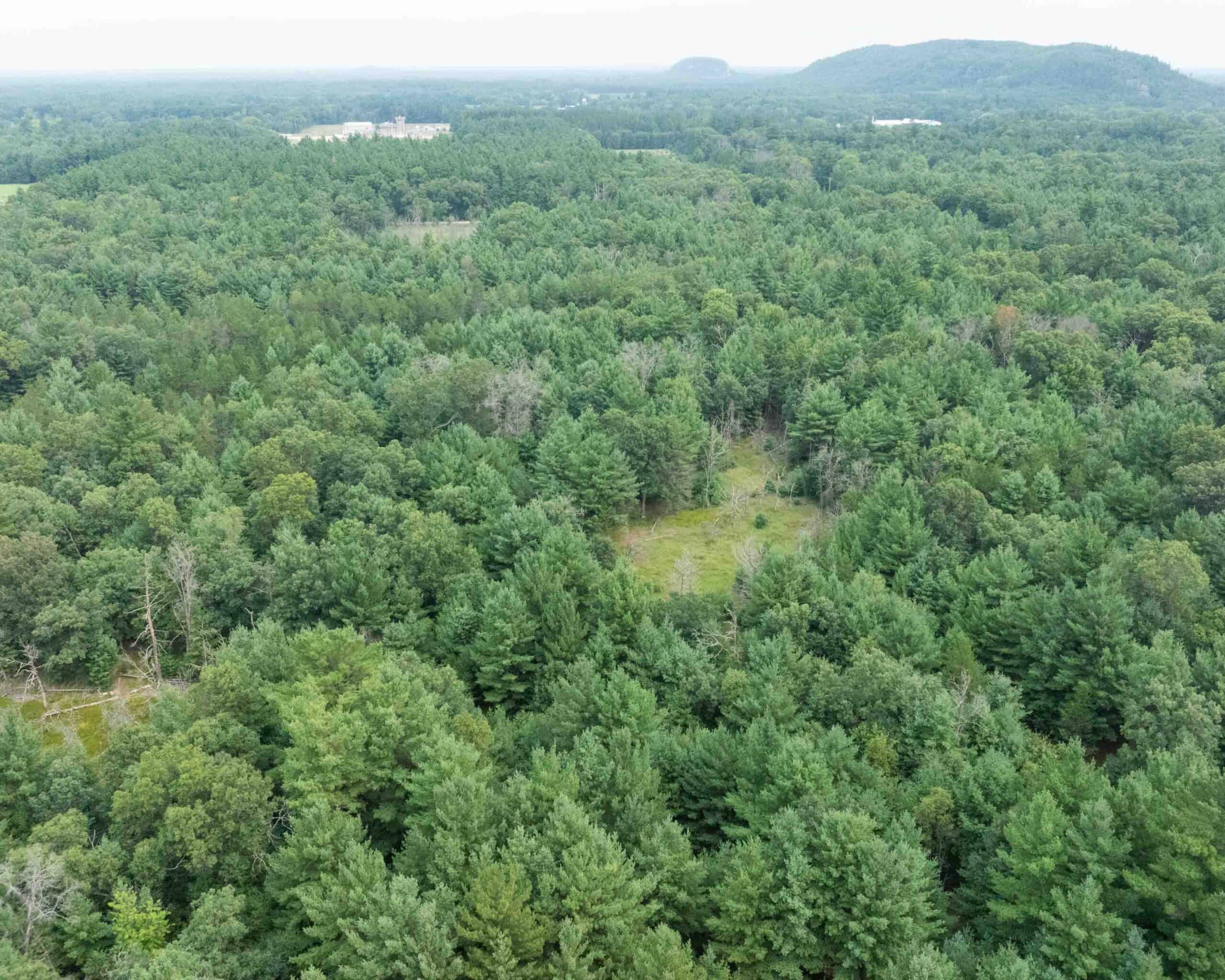 Rare opportunity to own 17.54 wooded acres within the City of Adams