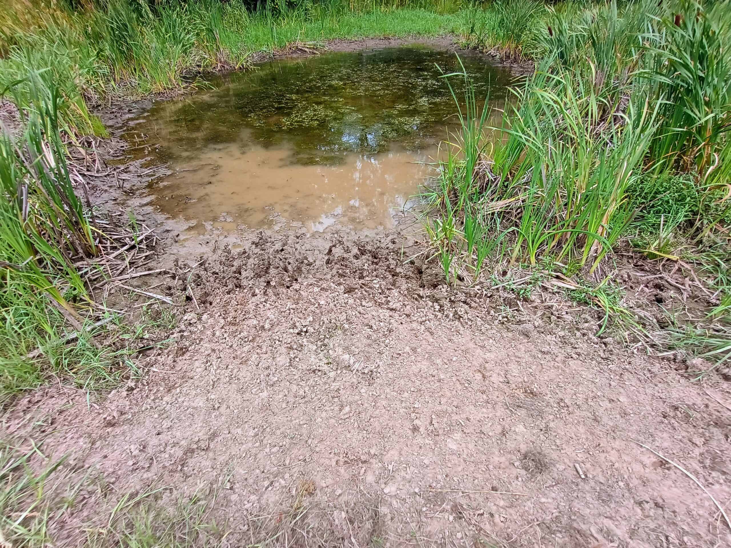 280 ± Acres Near Butternut Lake, WI Recreational Land