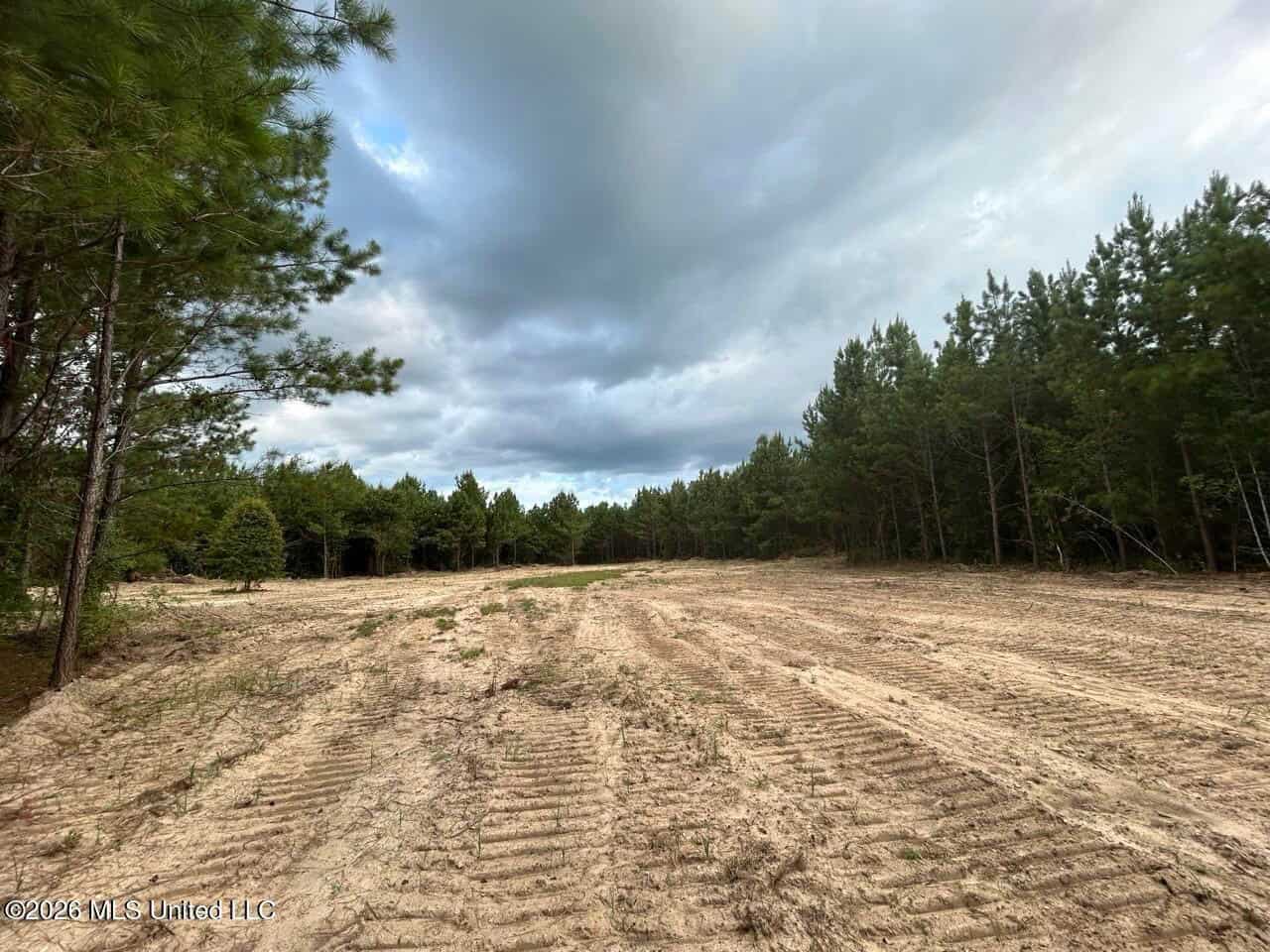 82± Acre Hunting Tract in Meadville, MS