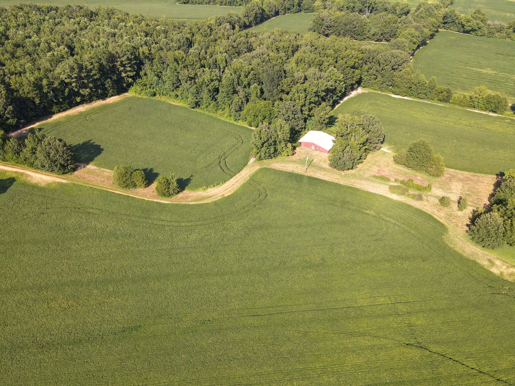 ESTATE FOR SALE IN TN, 56 AC, DEER & TURKEY HUNTING, CREEK, FIELDS, BARN