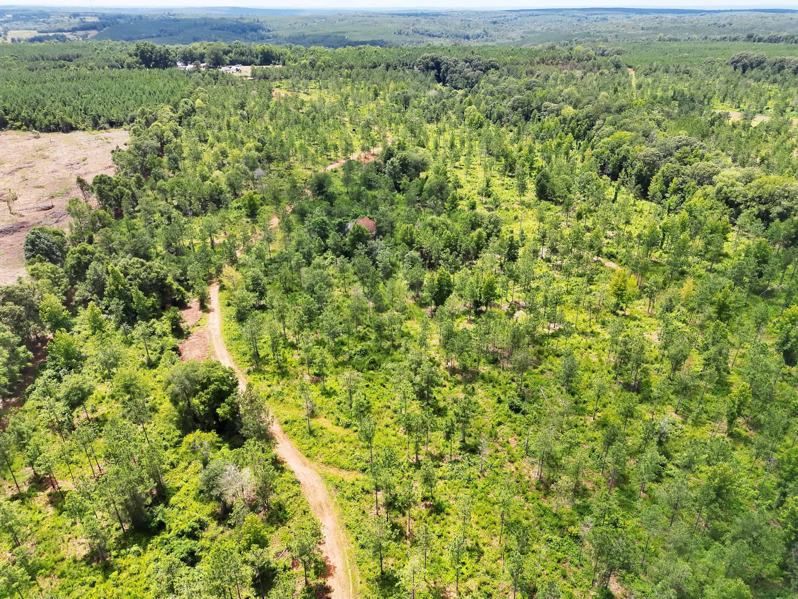 Discover an outstanding 130-acre recreational and hunting property in Stewart Cty