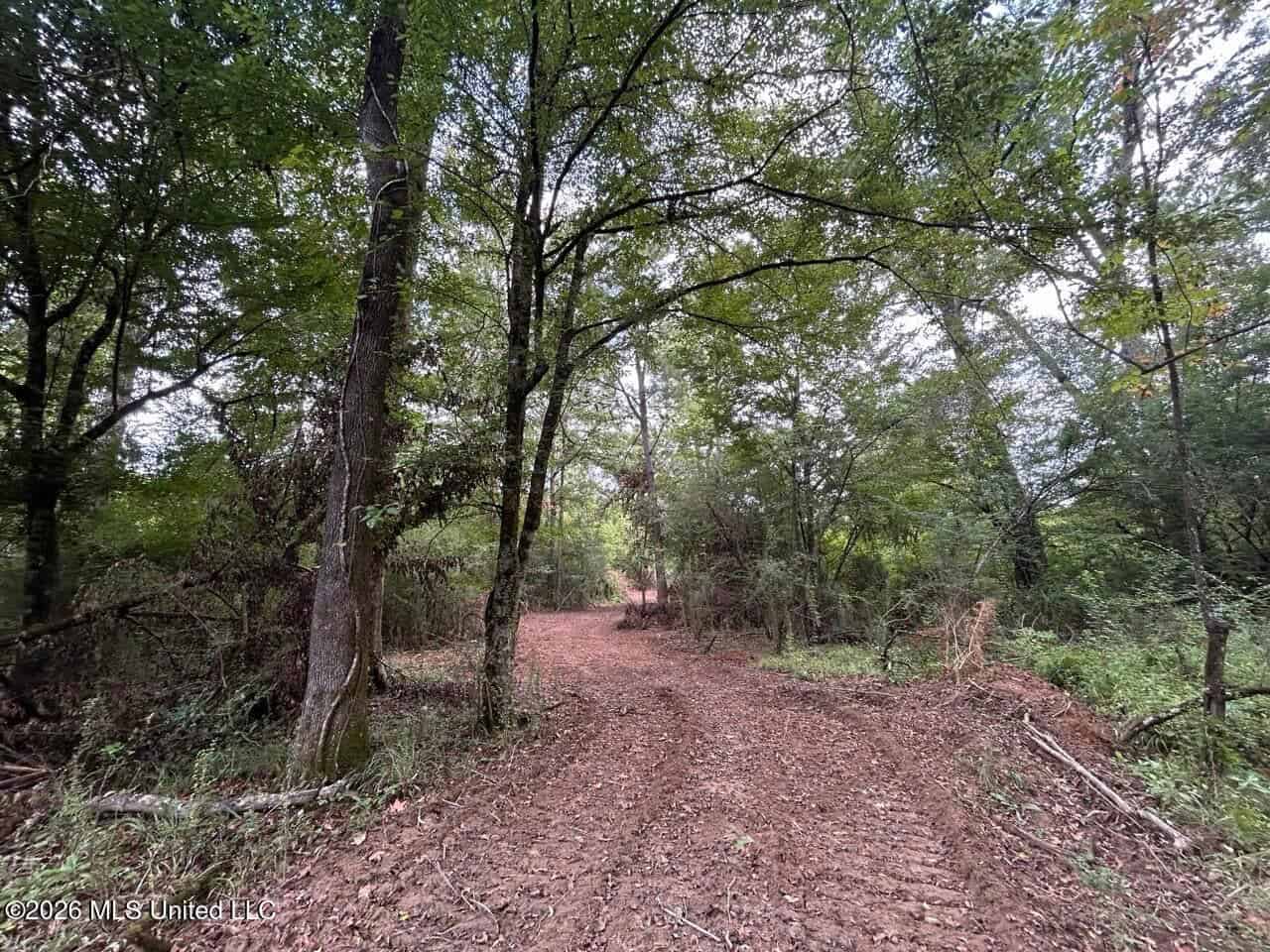 82± Acre Hunting Property in Wilkinson County, MS