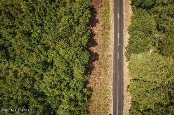 31 Acres for Sale Near Collins MS | Mature Timber & Hunting
