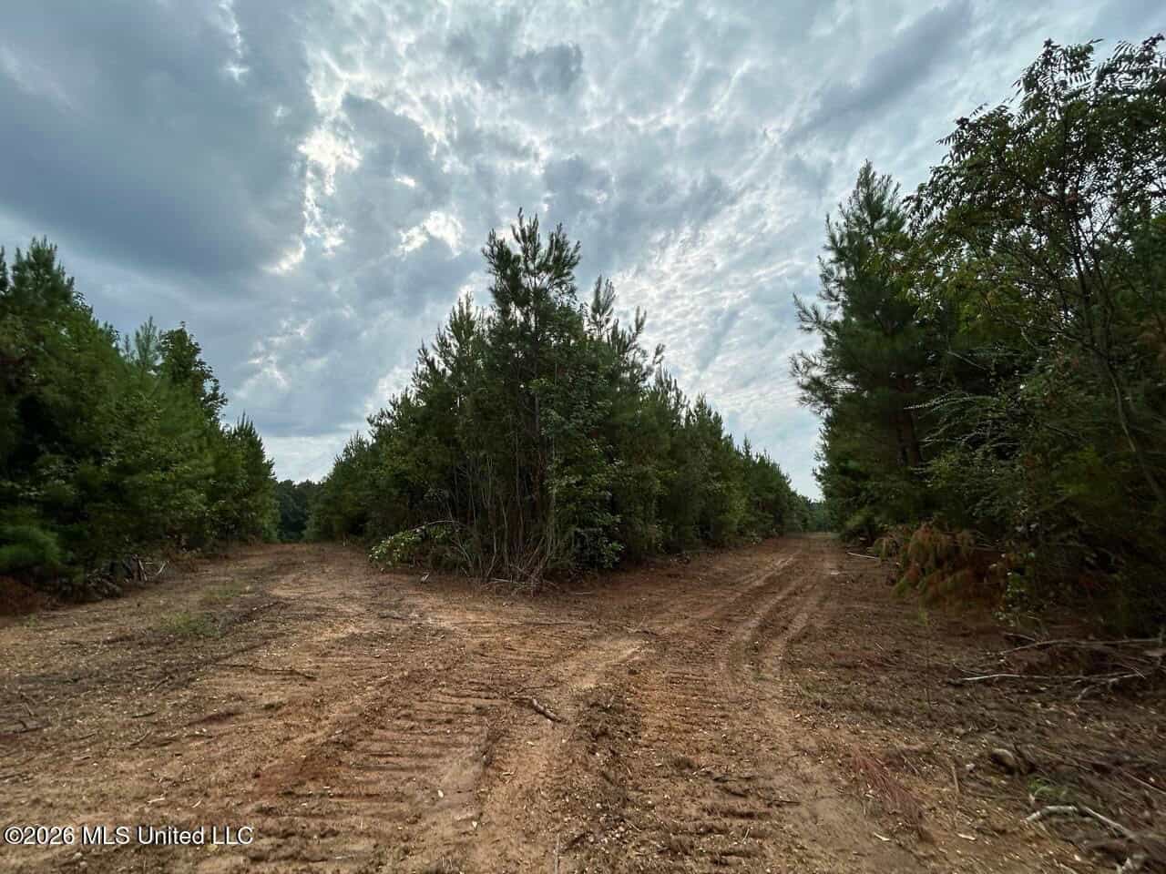 53± Acre Hunting Property Near Centreville, MS