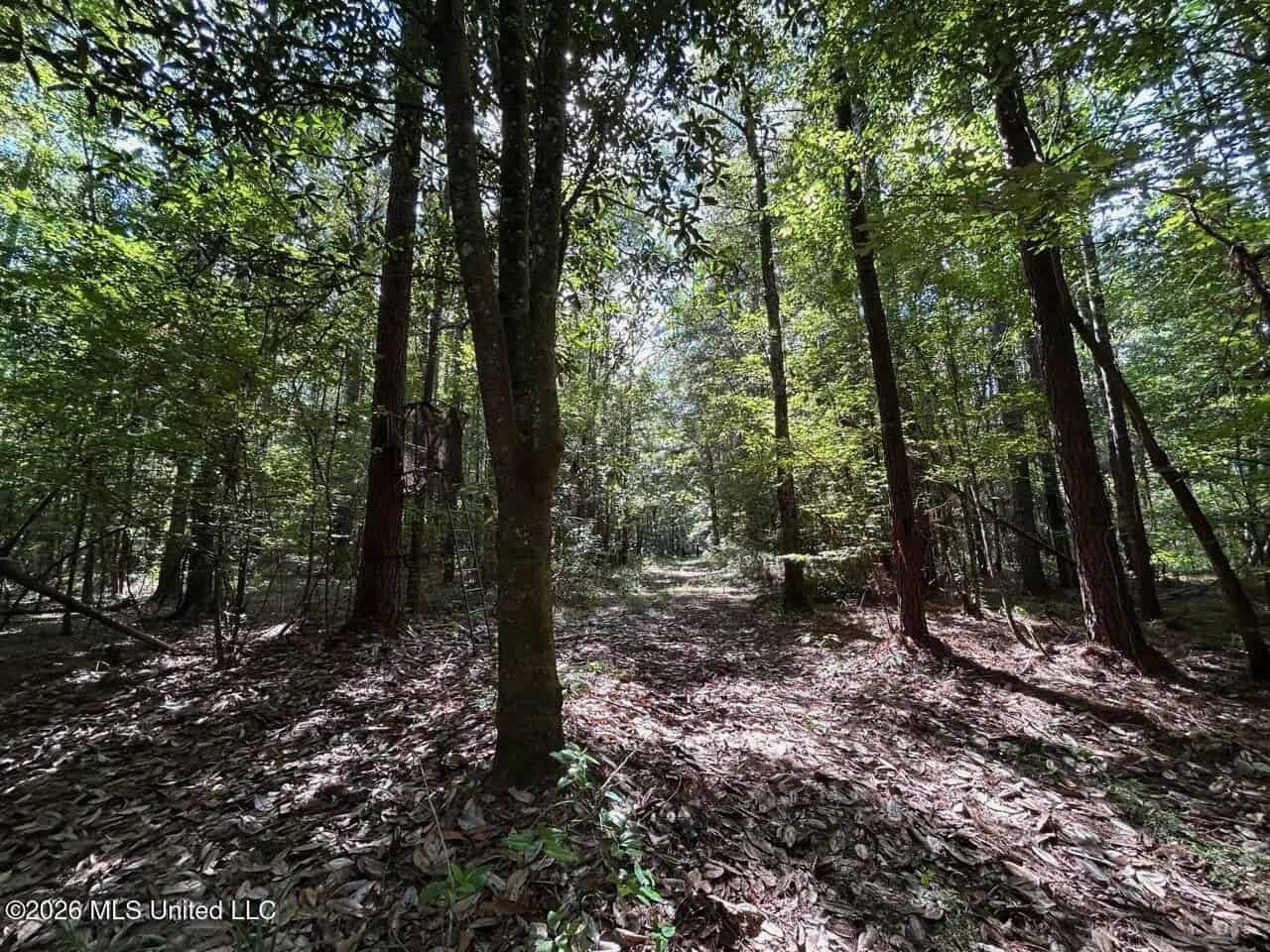 FRANKLIN COUNTY LAND FOR SALE NEAR McCALL CREEK