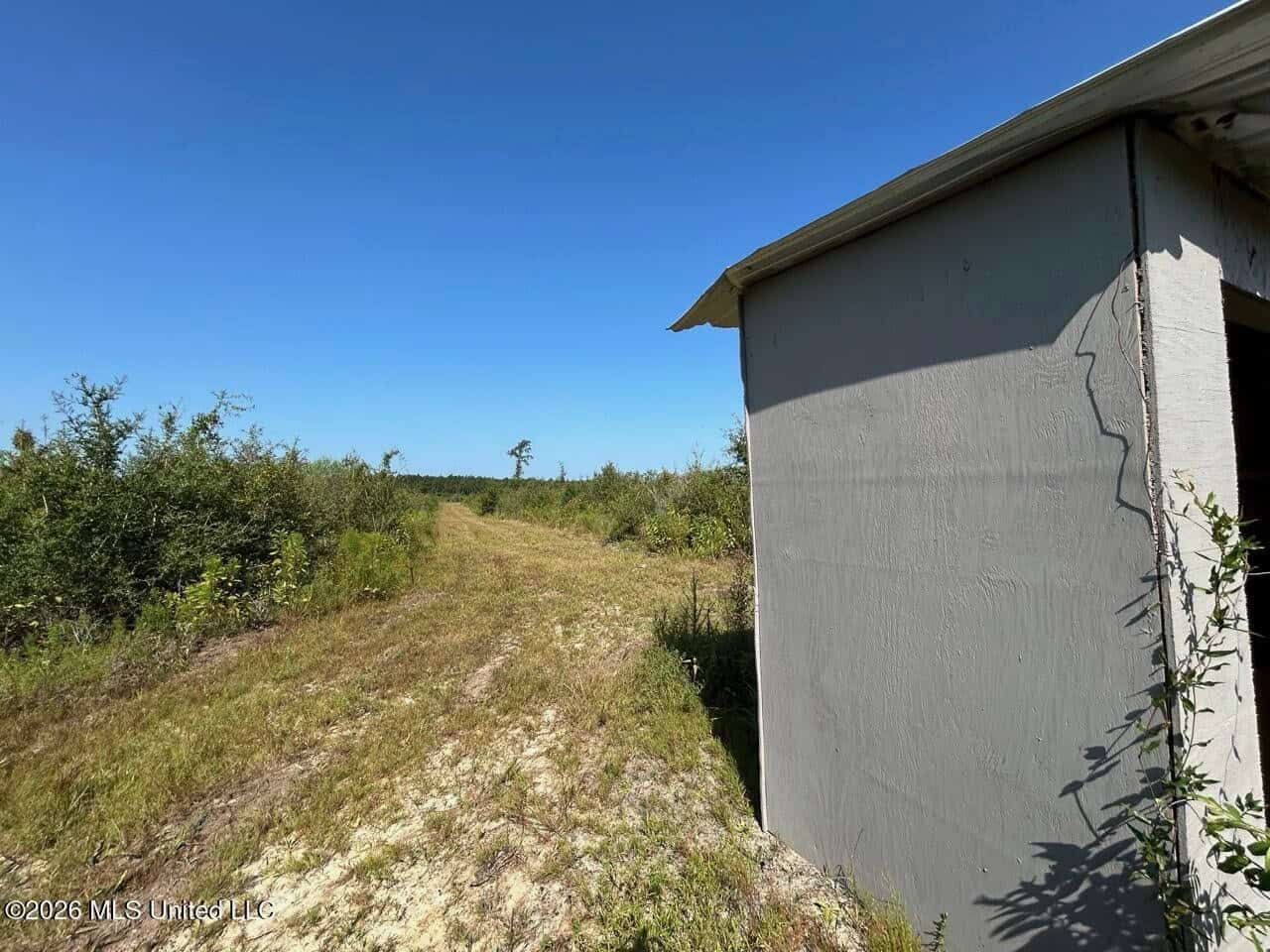 50± Acre Homesite & Hunting Land in Plainview, LA