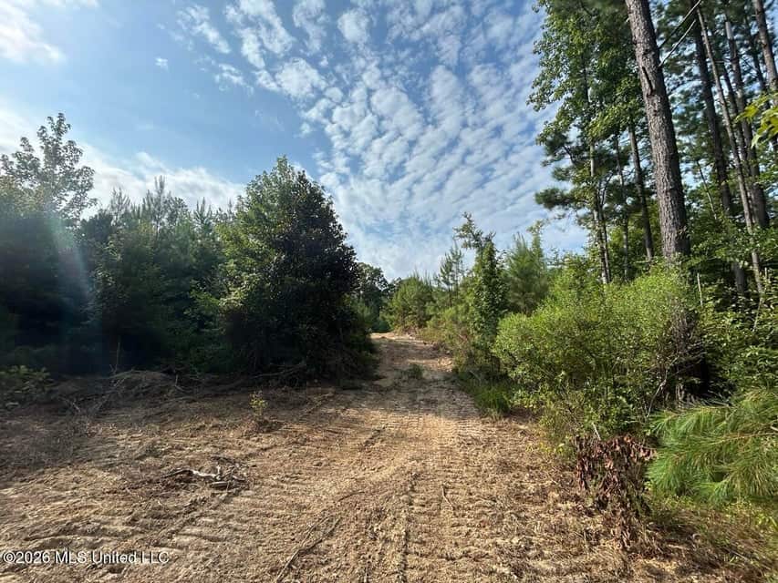 90± Acre Hunting Tract for Sale in Meadville, MS