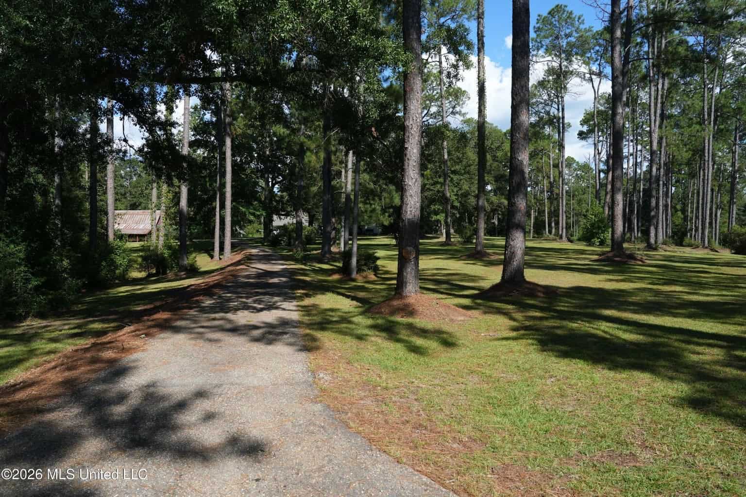 20 Acres for Sale Magnolia MS with Barn & Mature Timber