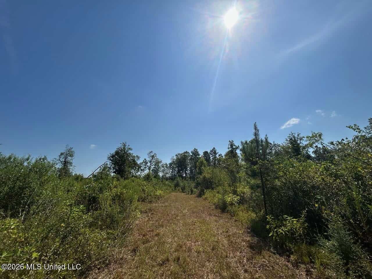 42± Acre Homesite & Hunting Land in Plainview, LA