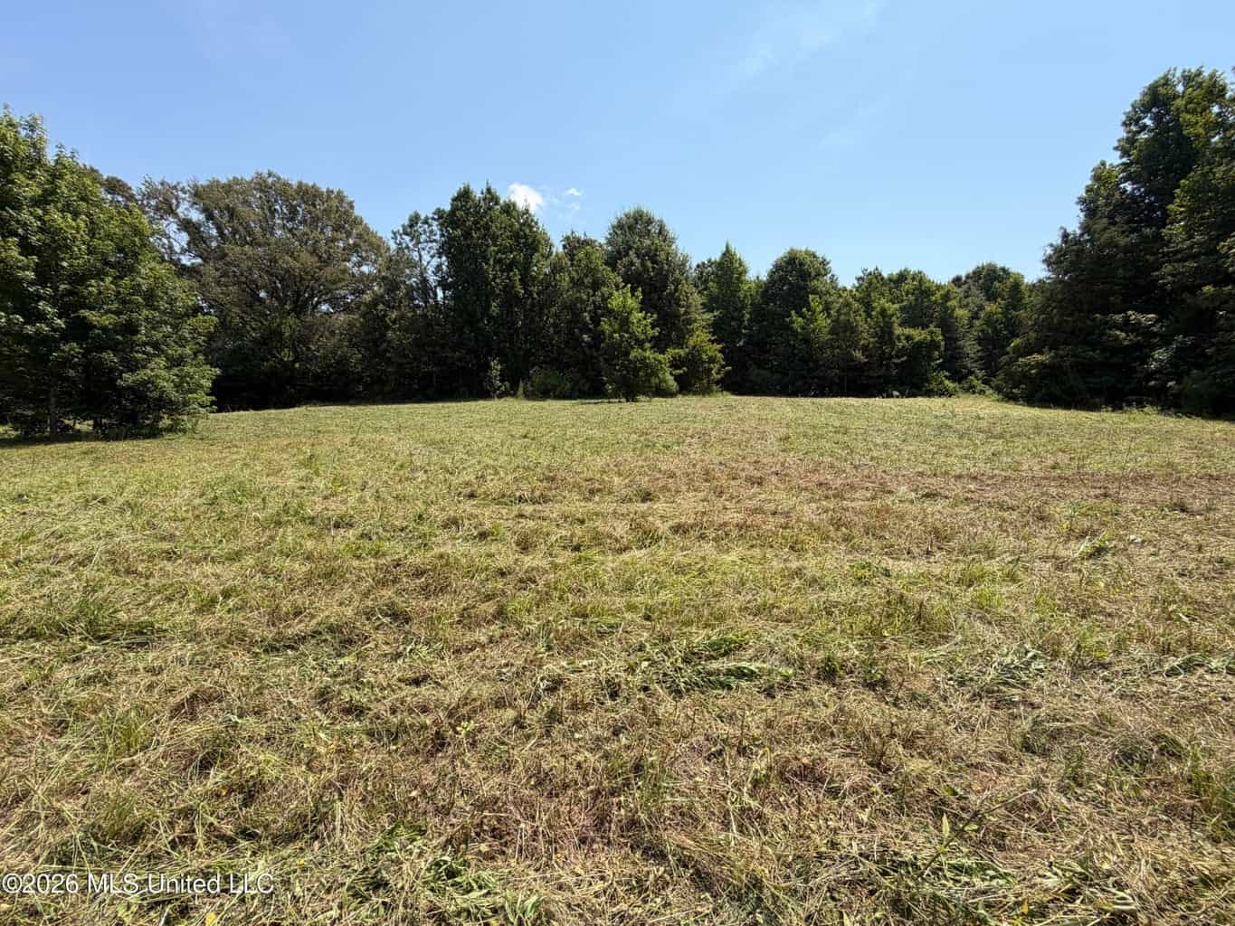 81-Acre Timber Property on 20-Acre Lake in Vaughan, MS