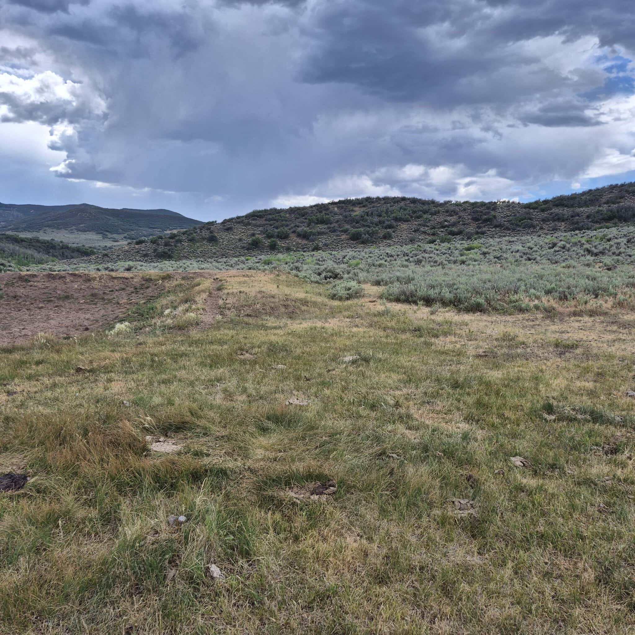35 Acres Borders Public Land near Collbran, CO