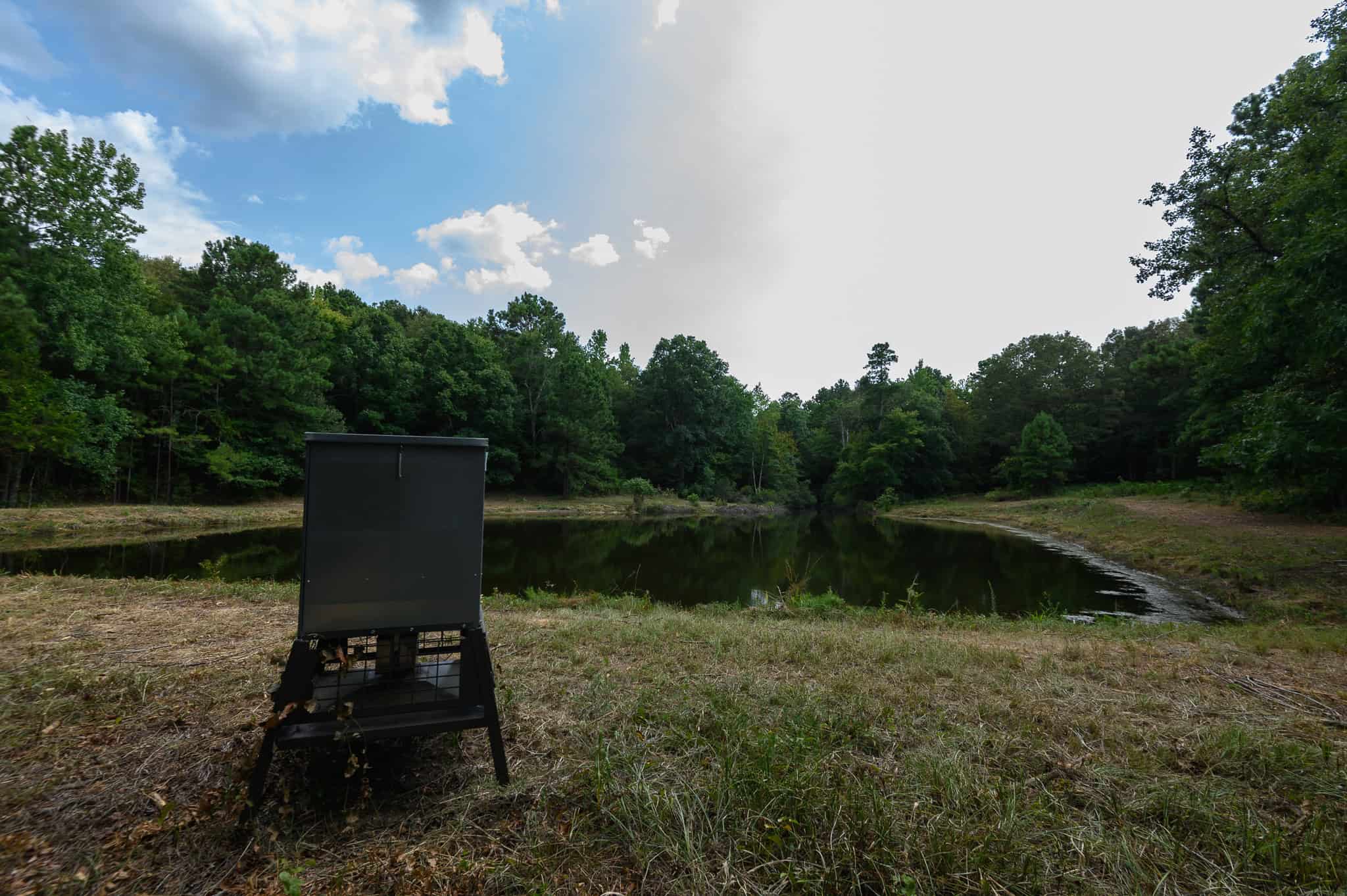 East Texas Hunting & Timber Land for Sale in Smith County