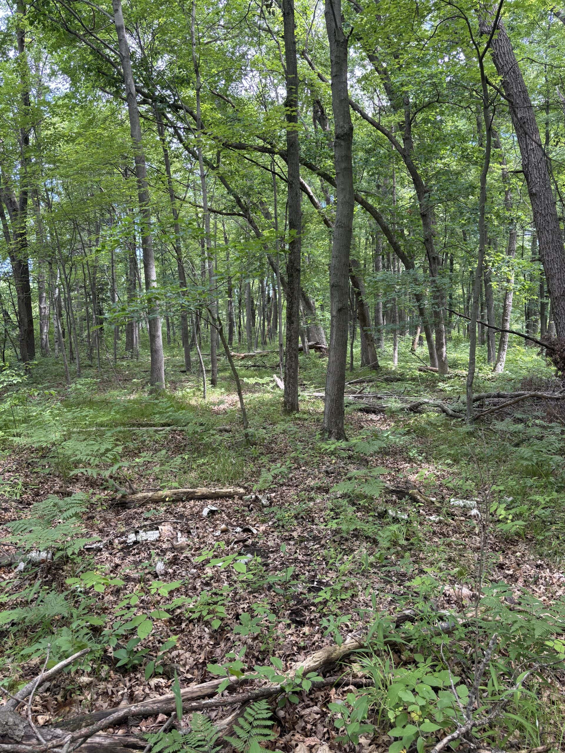 68± Acres of Timber, Water & Recreation | Monroe County, Wisconsin